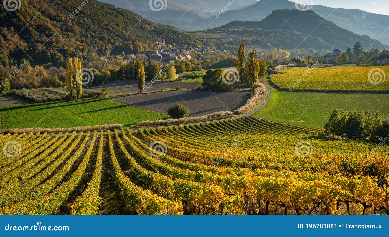 vineyards and the village of valserres in autumn. winery and grape vines in the hautes-alpes