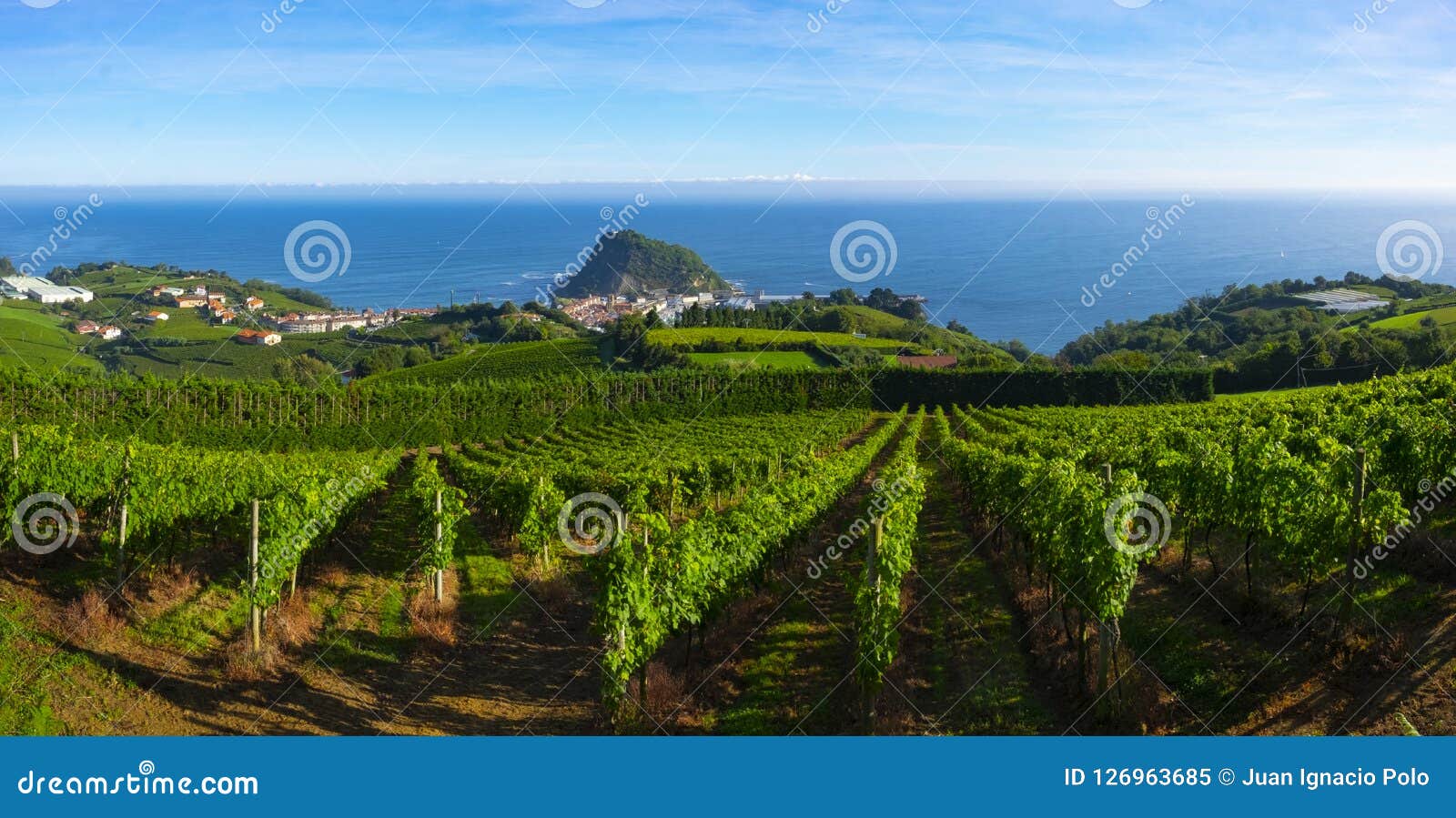 vineyards and wine production with the cantabrian sea in the background