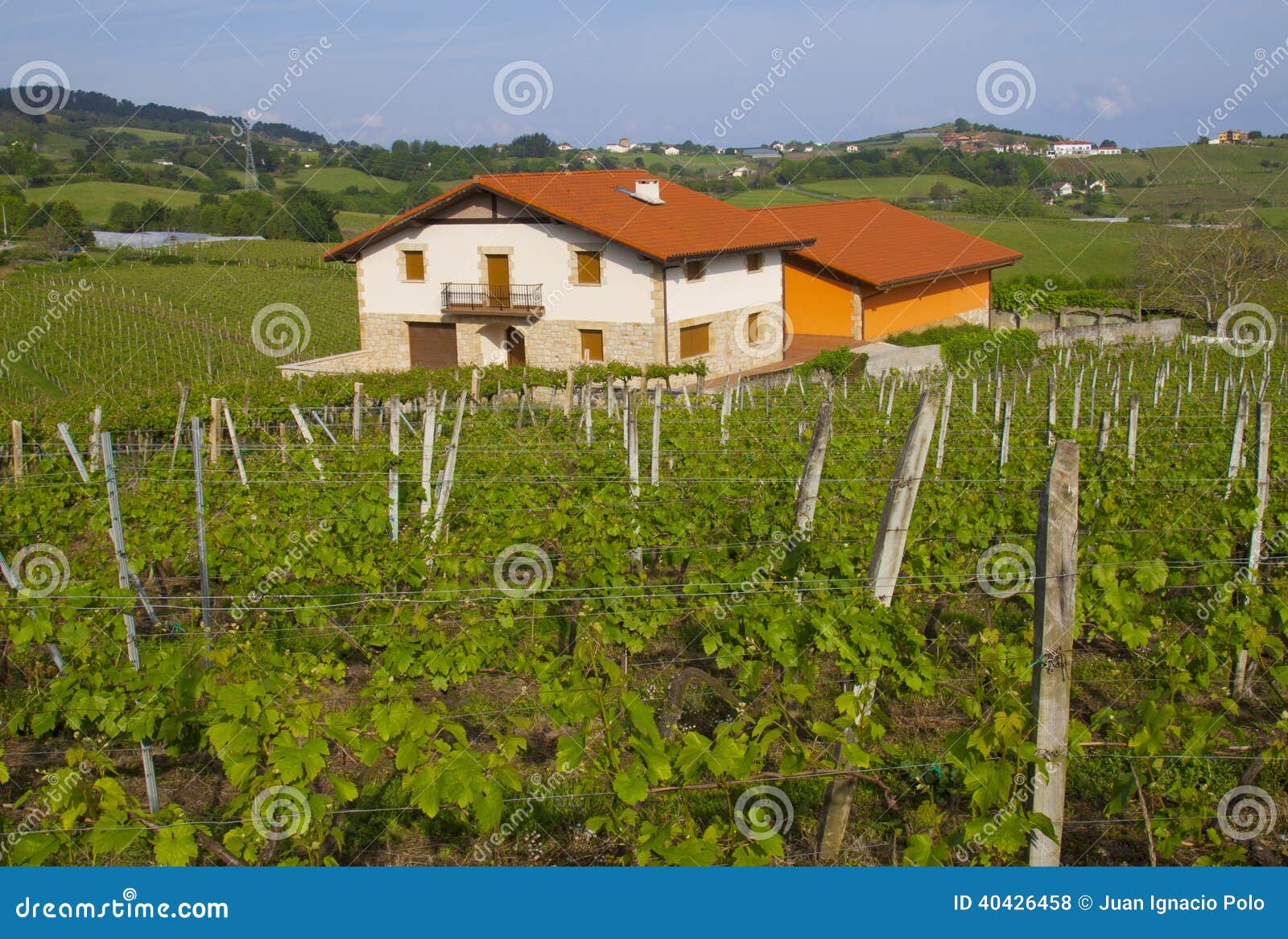 vineyards, wine production (txakoli) getaria.