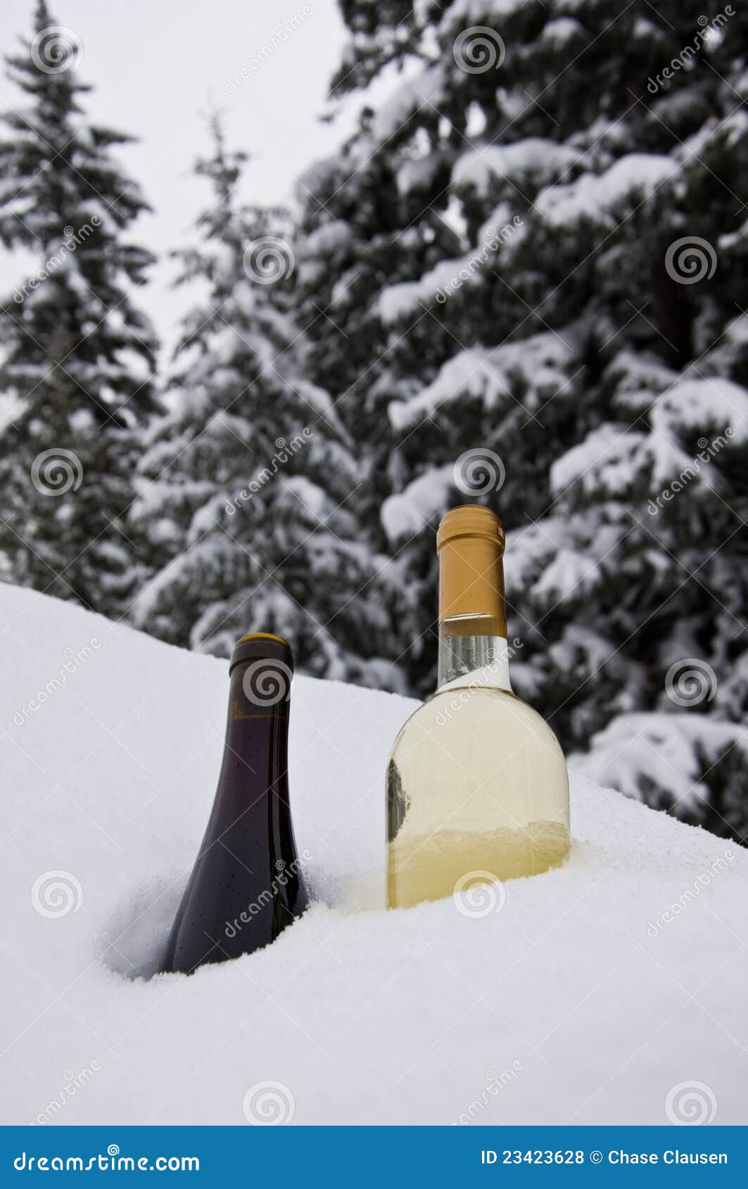 Vino di refrigerazione. Due bottiglie dei vini differenti video in un cumulo di neve non trattato come sono raffreddati