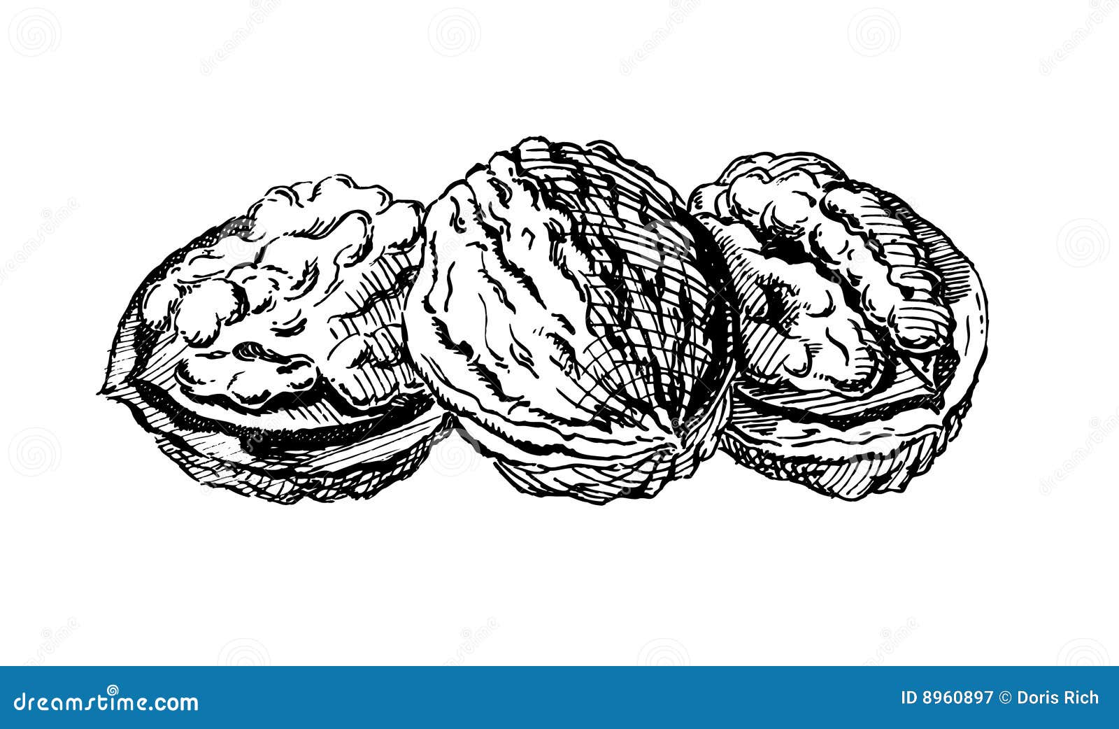 Vintage 1950s Walnuts Royalty Free Stock Photography - Image: 8960897
