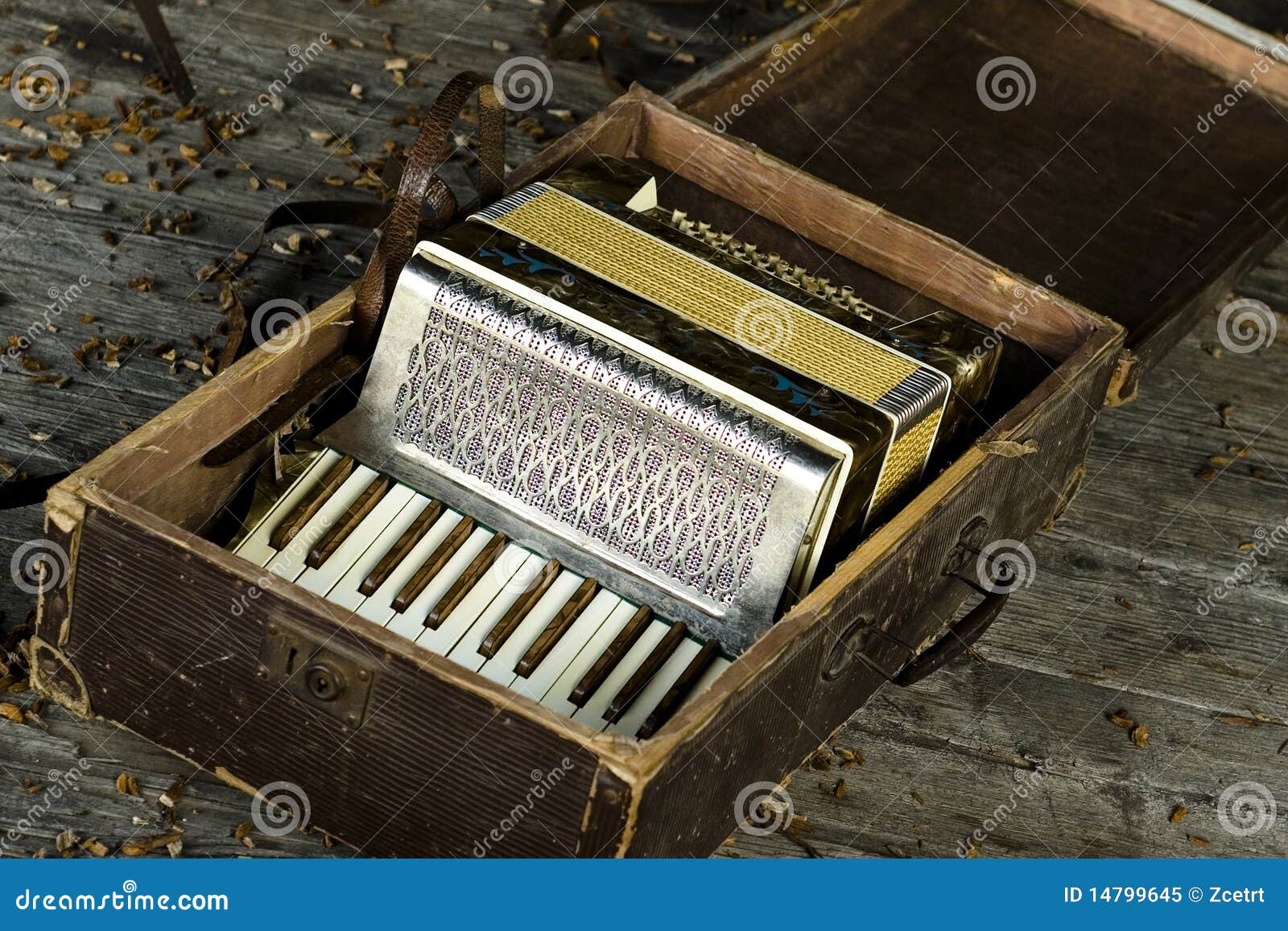 Vintage accordion stock image. Image of wood, beautiful 14799645