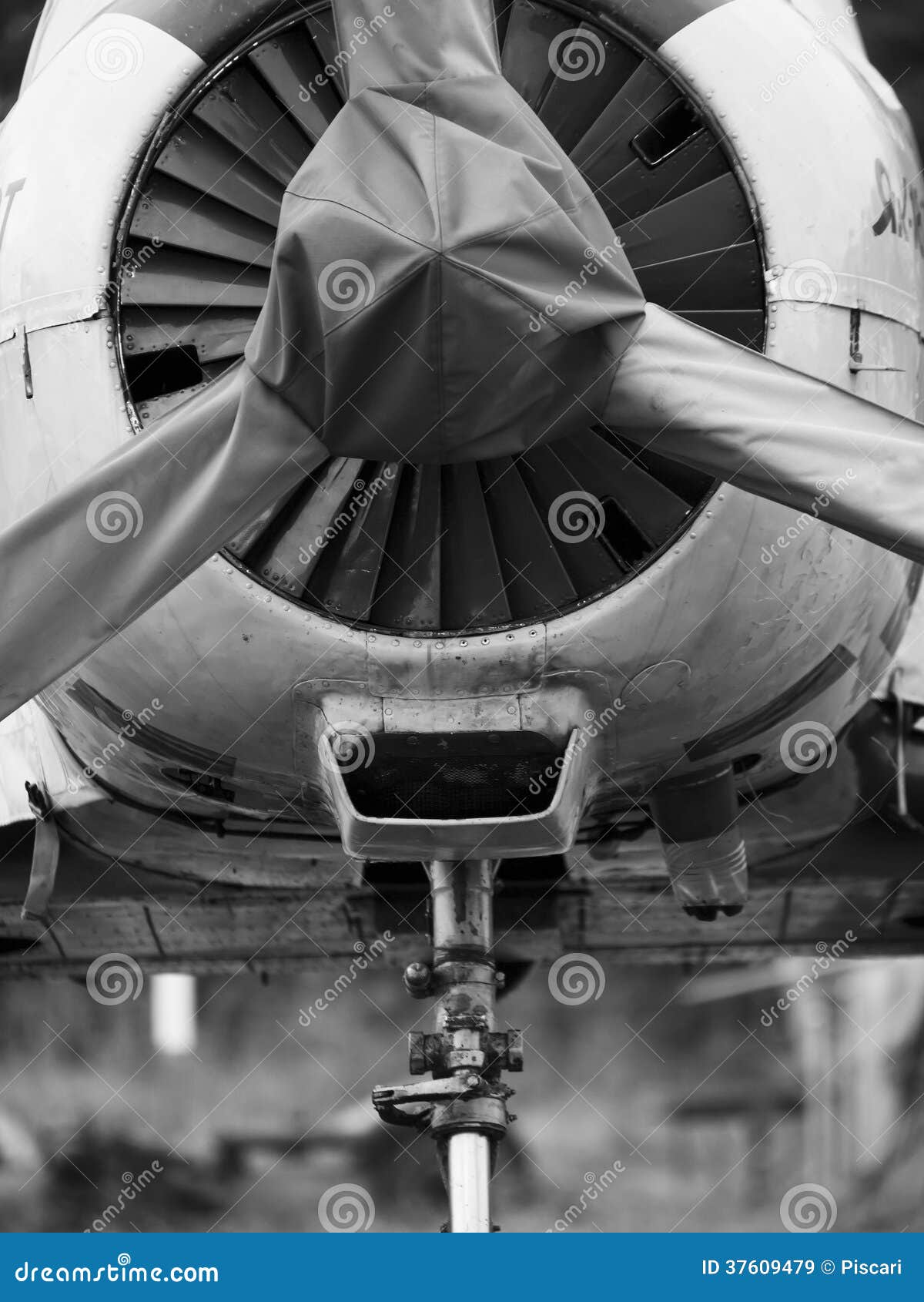 Vintage aviation. Front view of vintage airplane on the parking