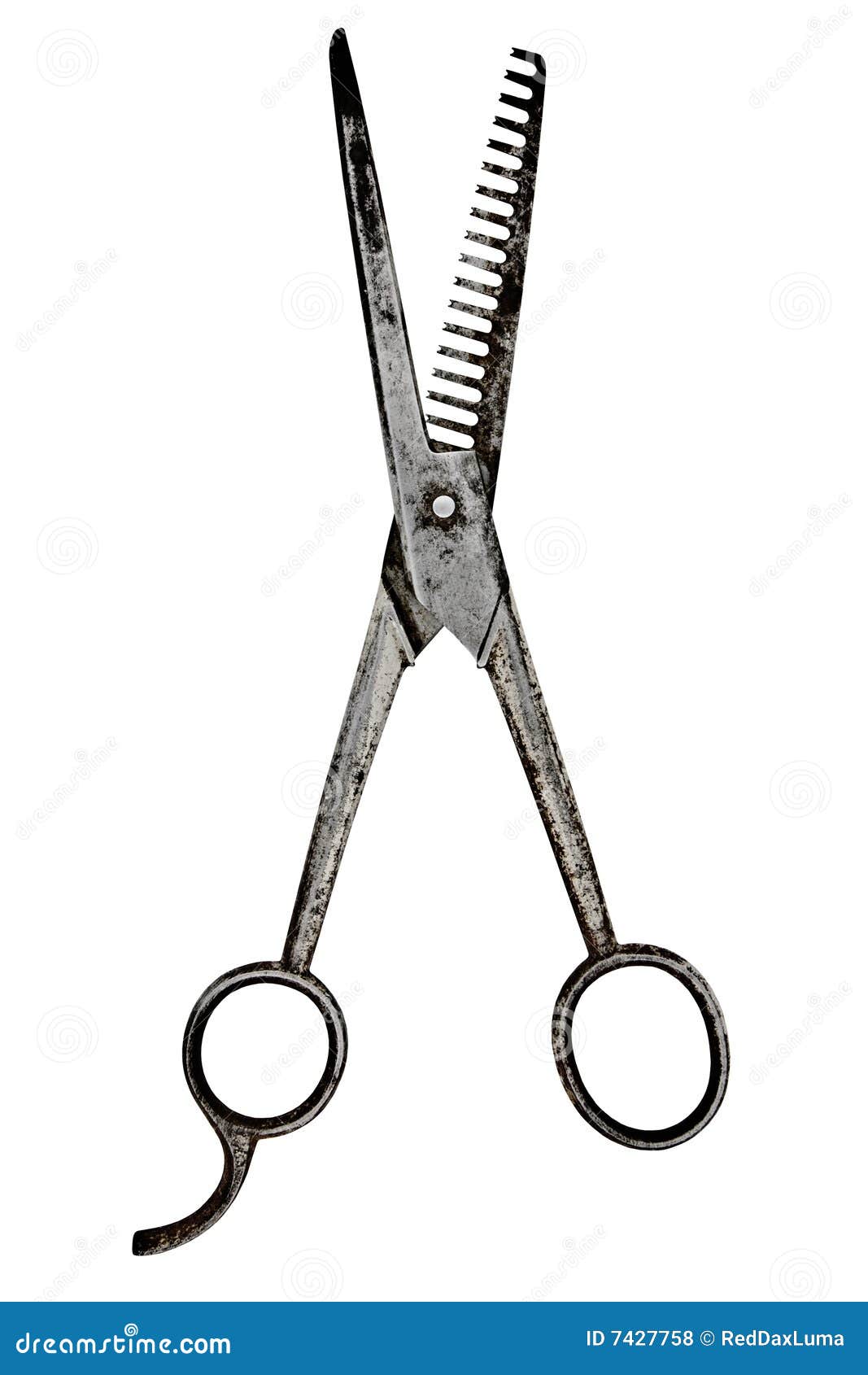 Vintage barber scissors stock photo. Image of clippers 7427758