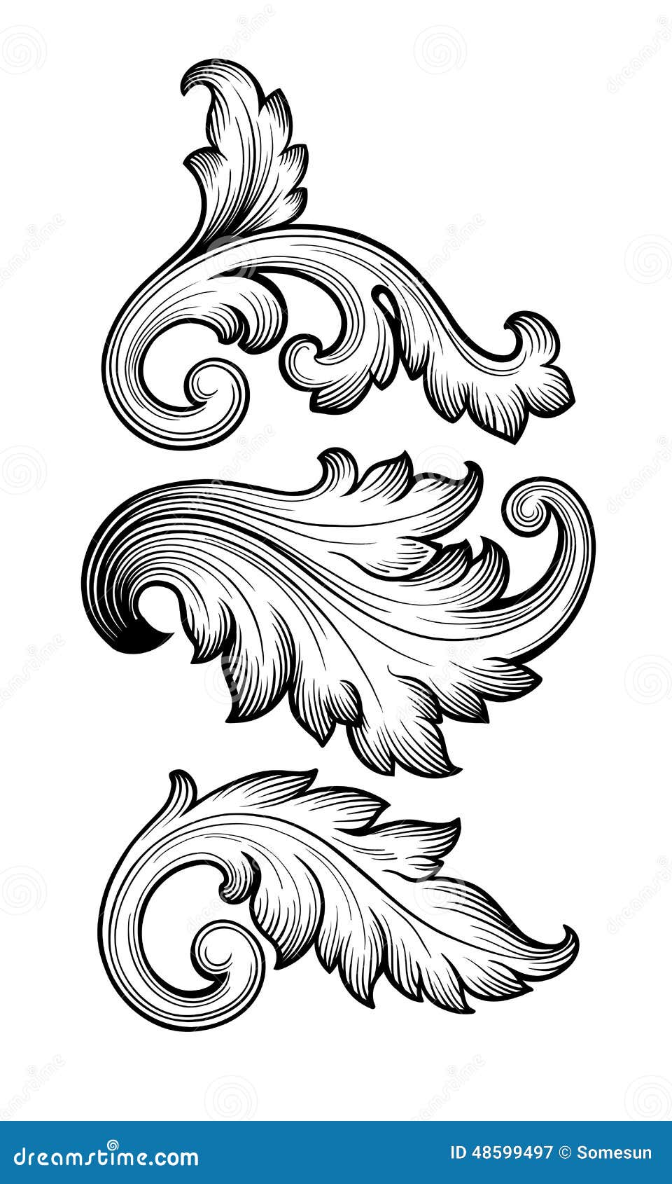 Vintage Baroque Floral Scroll Set Ornament Vector Stock Vector - Image