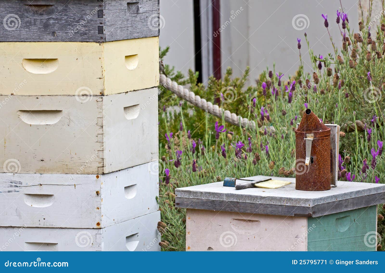 Vintage Beekeeping Equipment Stock Image Image of wooden, bees 25795771