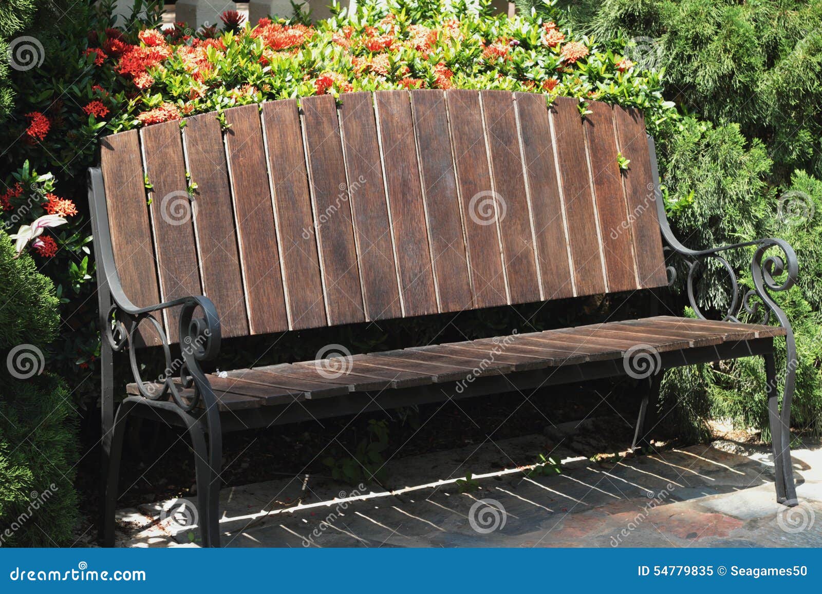 Vintage Bench Chair at the Nature Stock Image Image of lawn, sidewalk