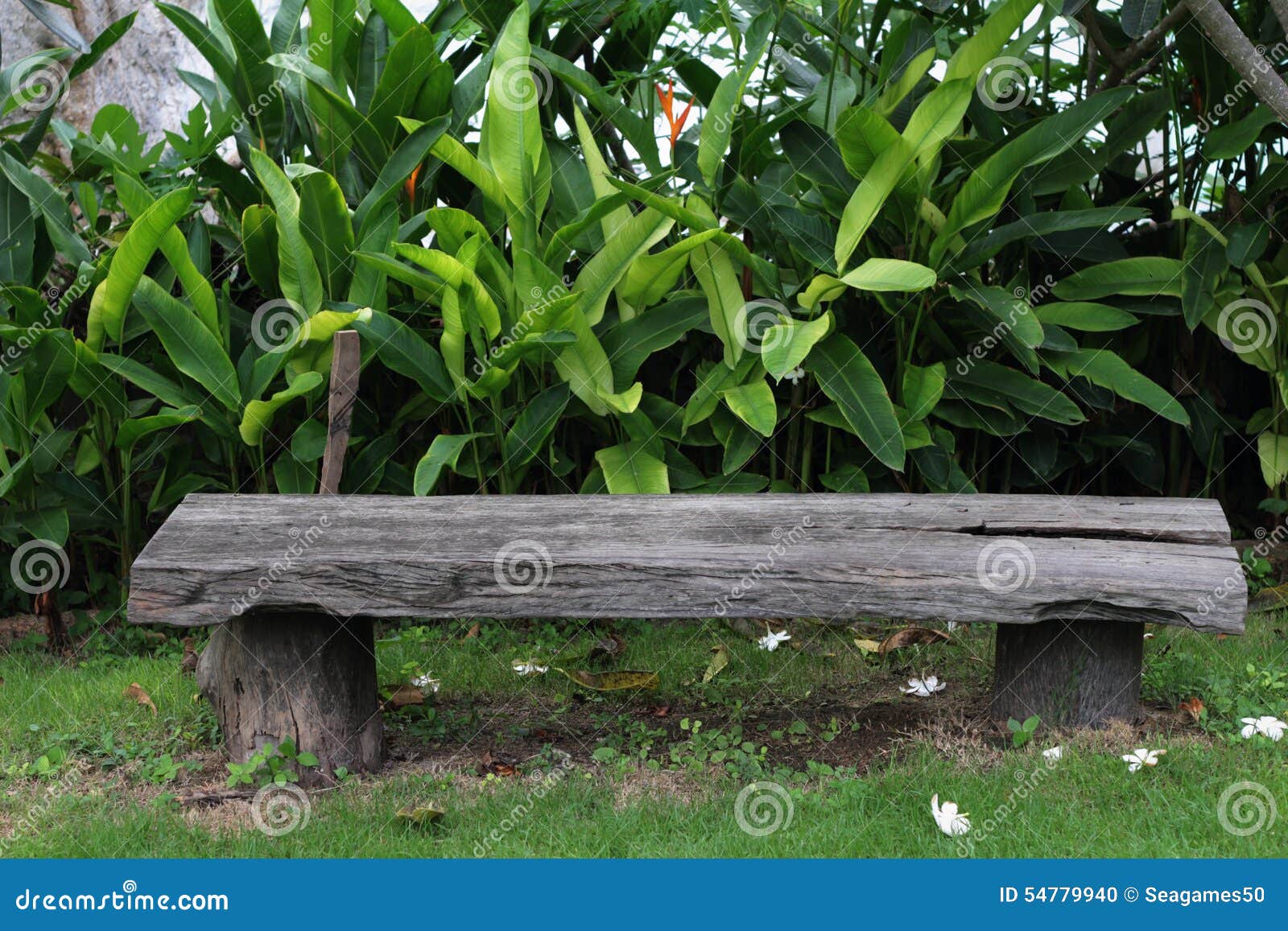 Vintage Bench Chair at the Nature Stock Photo Image of landscaped