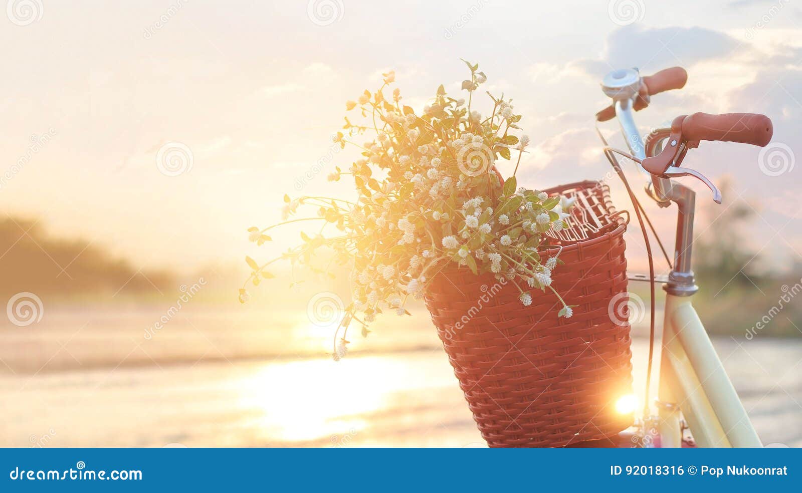 vintage bicycle with flowers in the basket on summer sunset