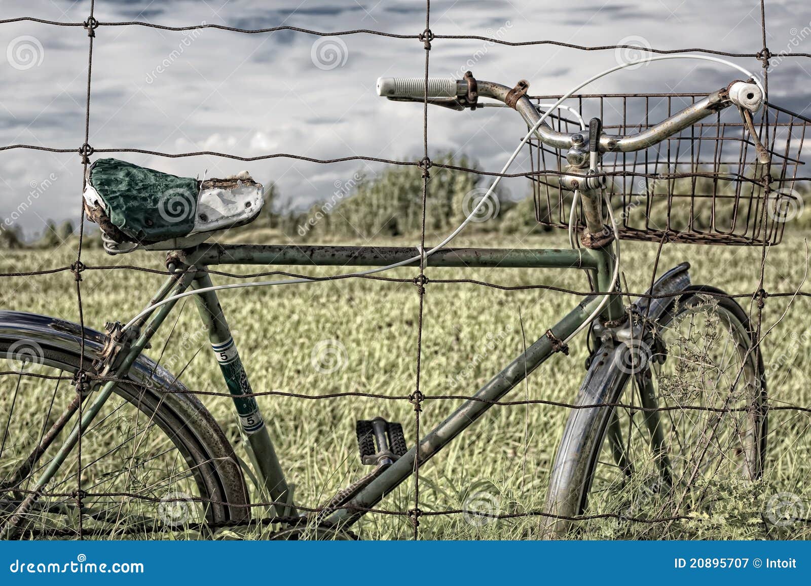 Vintage Bicycle with Old Wire Basket Stock Image Image of antique, boys 20895707