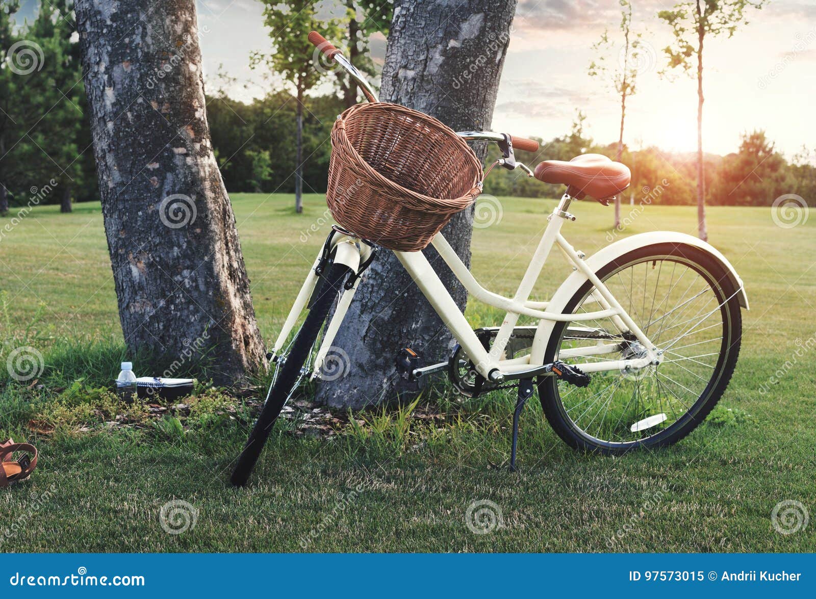 Vintage Bicycle with Wicker Basket Parked Against Tree at Sunset Stock