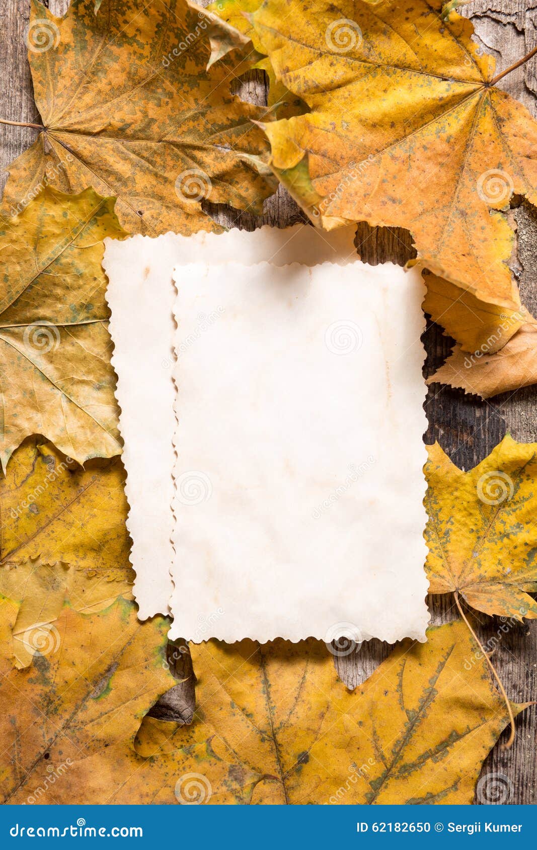Vintage Blank Paper Cards for Notes on Fallen Leaves Stock Photo
