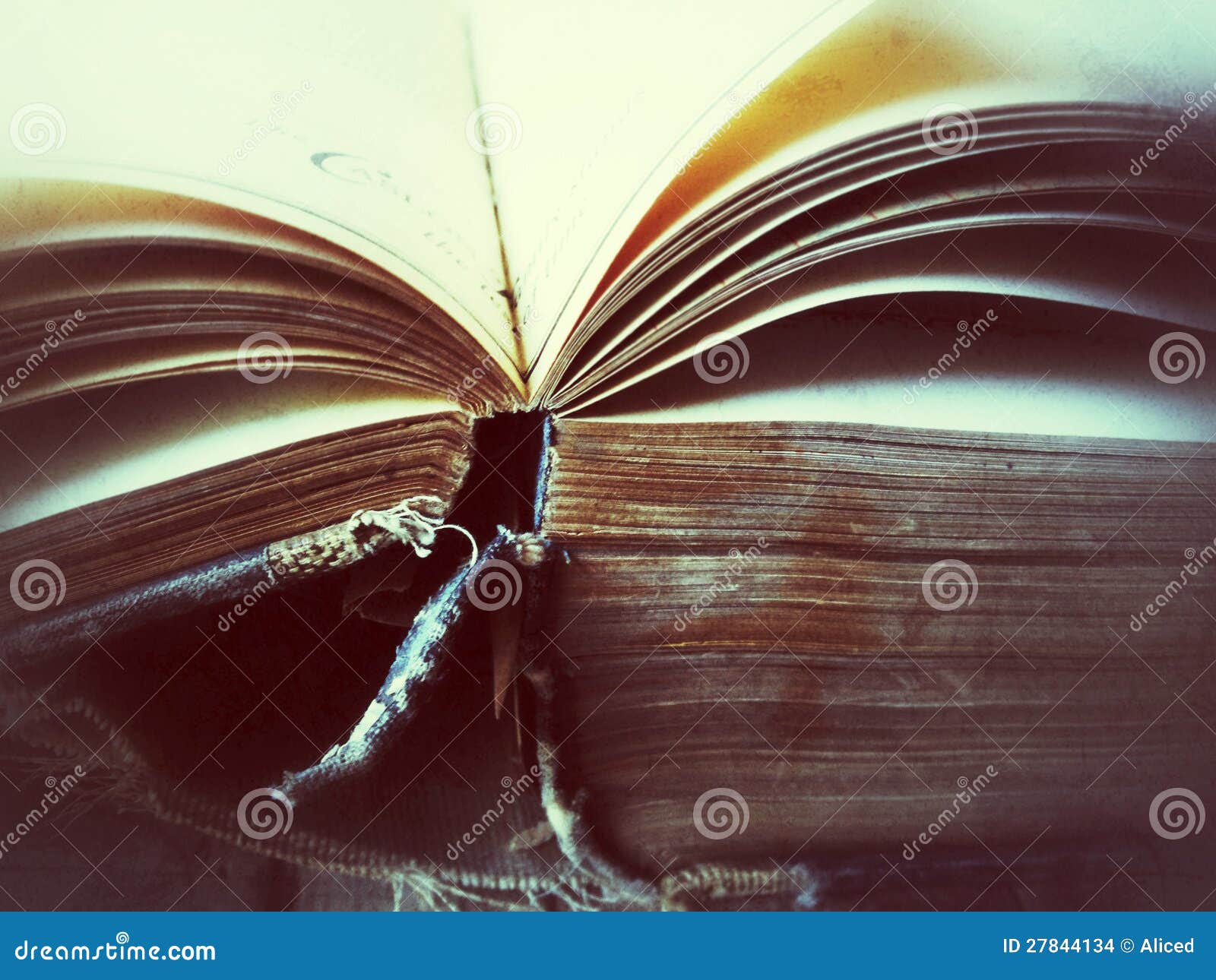 54,420 Vintage Open Book Stock Photos - Free & Royalty-Free Stock Photos  from Dreamstime