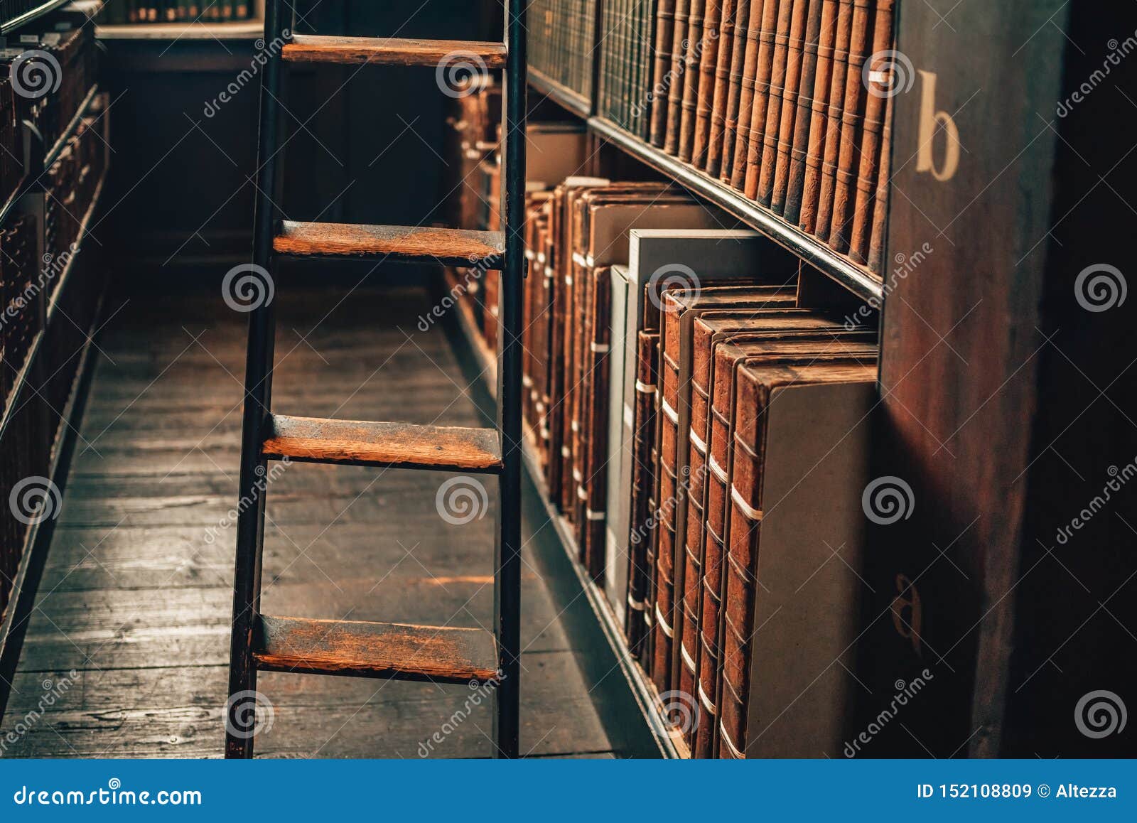 Vintage Books In Leather Covers On Bookshelf Cabinet With Ladder