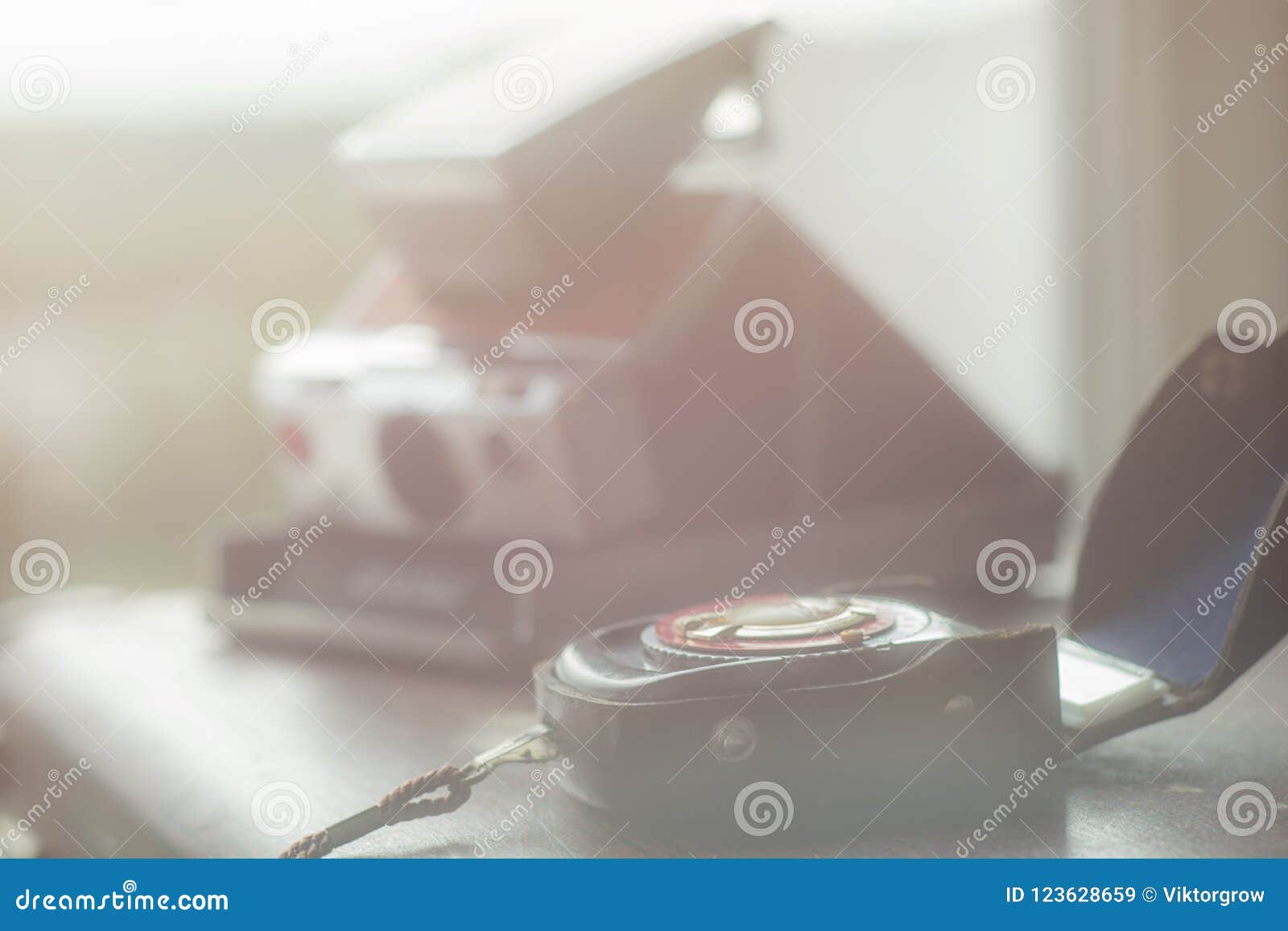 vintage camera and exposure meter