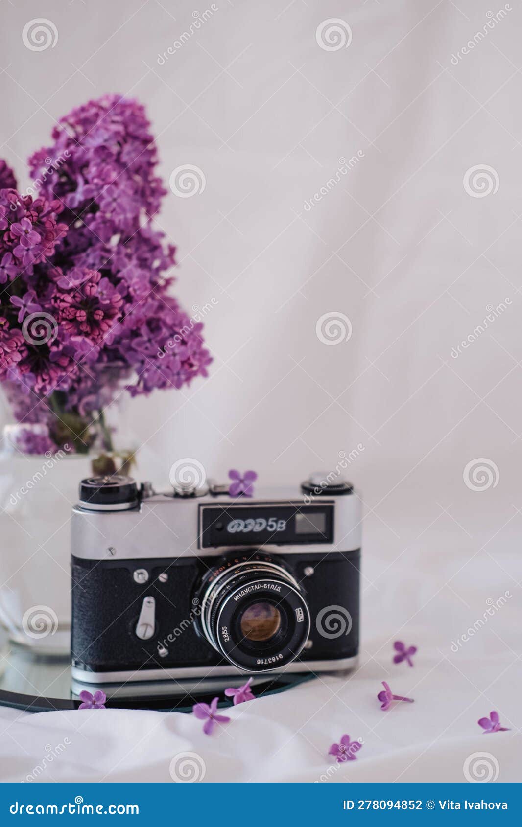 Vintage Camera and Lilac Flowers on a White Background. Stock Photo