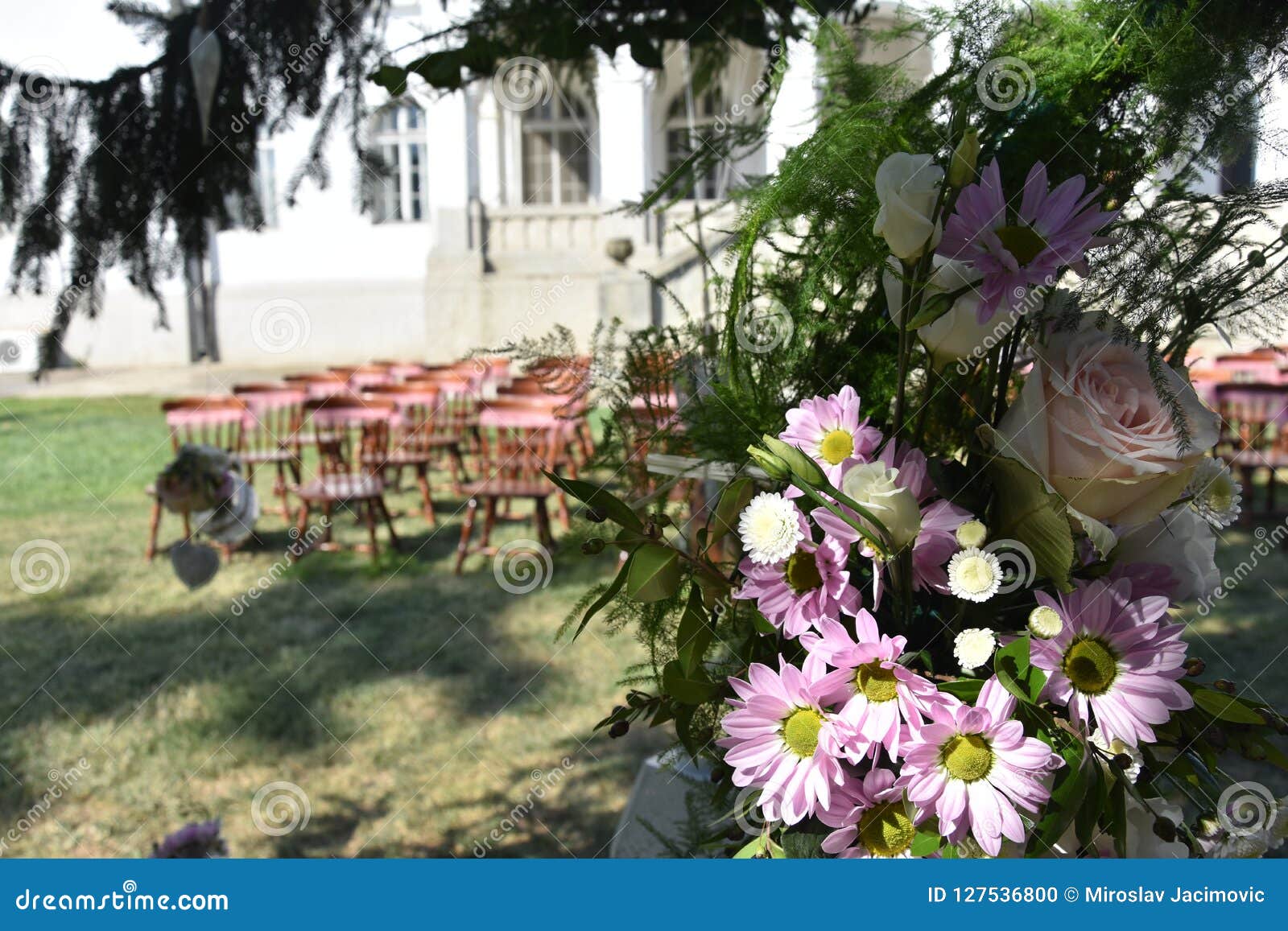Vintage Chairs for Wedding Ceremony Stock Photo Image of fabric