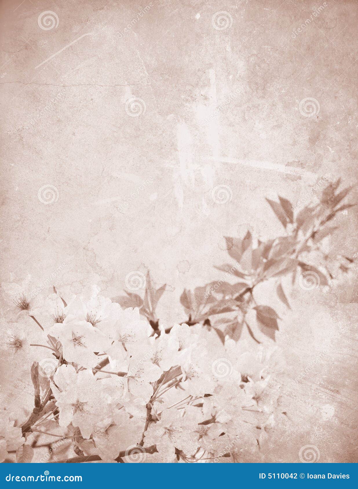 Vintage Cherry Decorated Stationery Stock Photo Image Of Grainy Decay