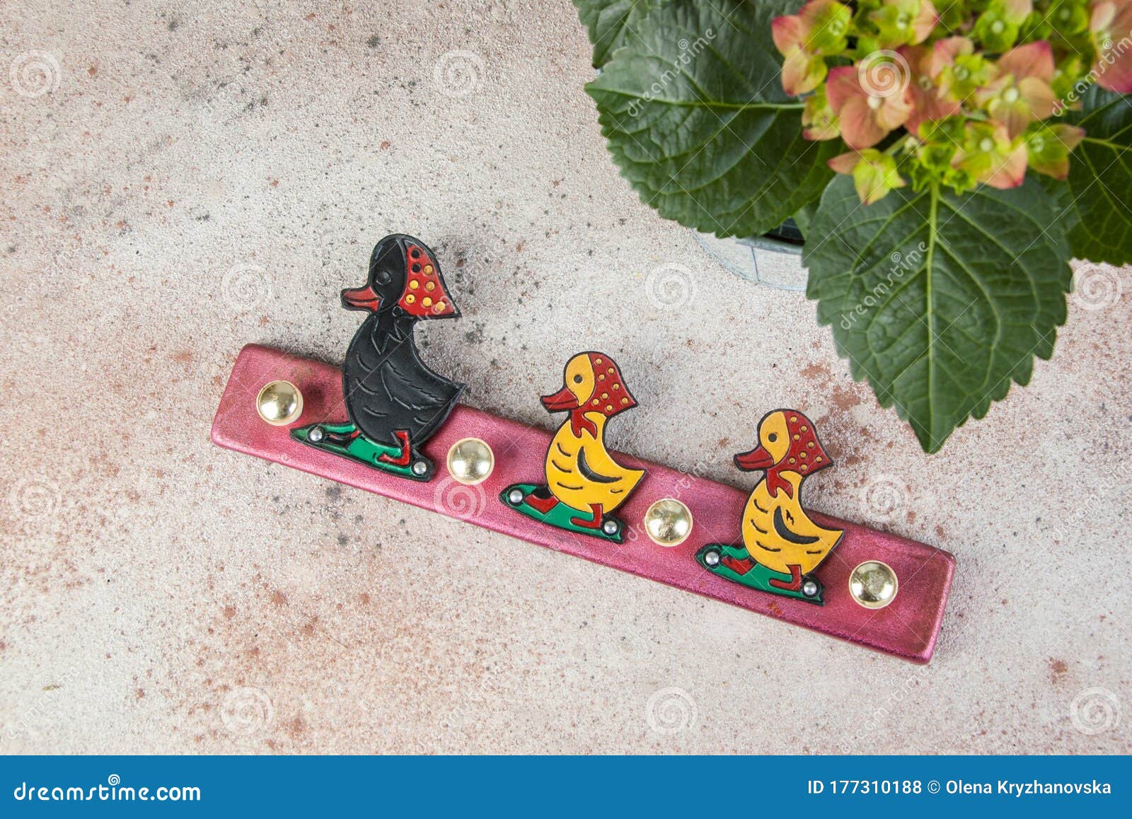 Vintage Children Coat Rack Duck and Hydrangea Stock Photo Image of