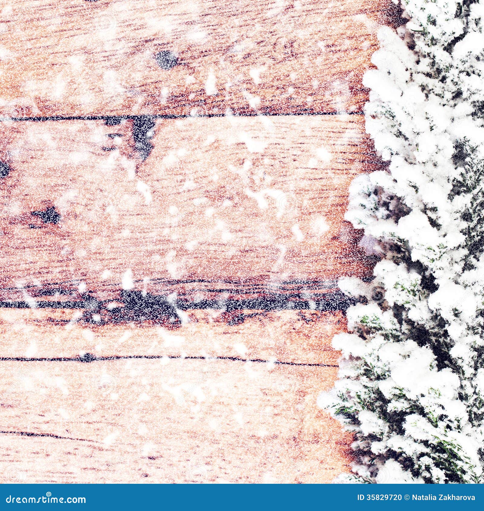 Vintage Christmas Card With Fir Tree Covered With Snow On 