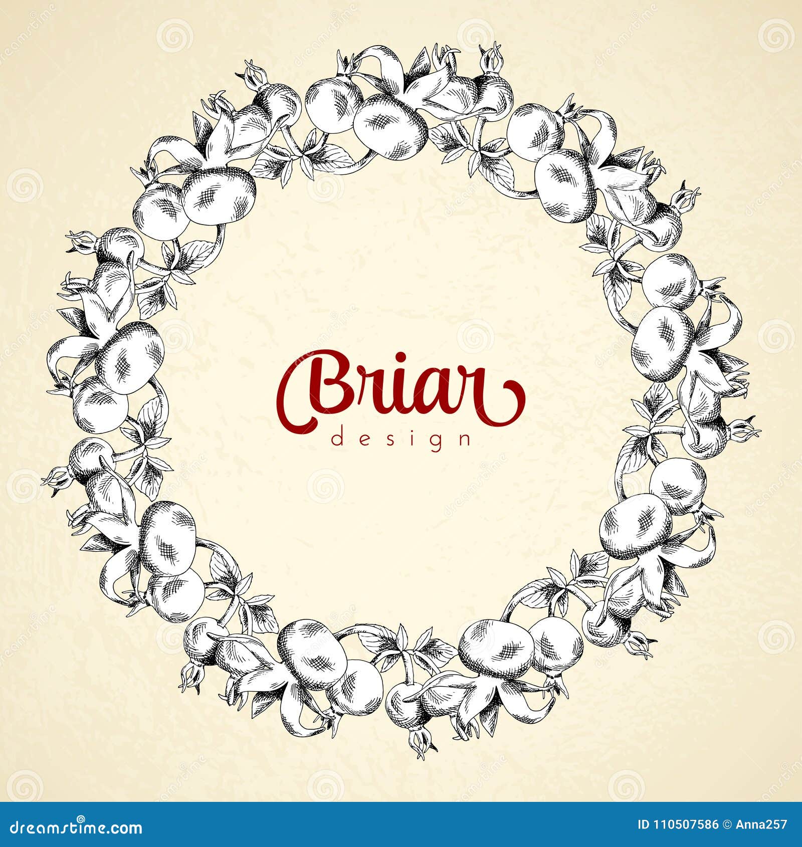Download Vintage Circle Frame Briar Sketch Template Stock Vector ...