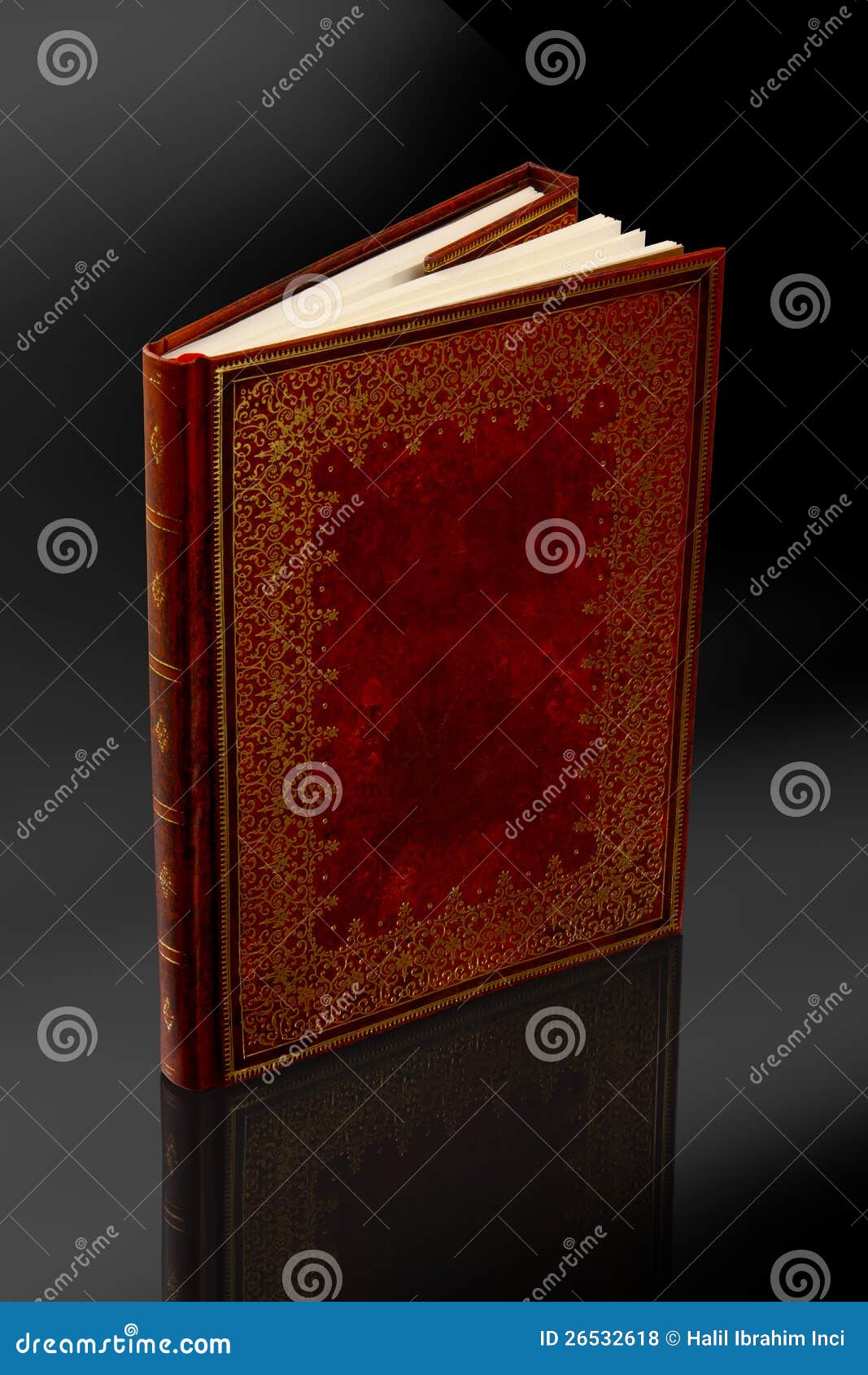 Vintage Diary Cover Design