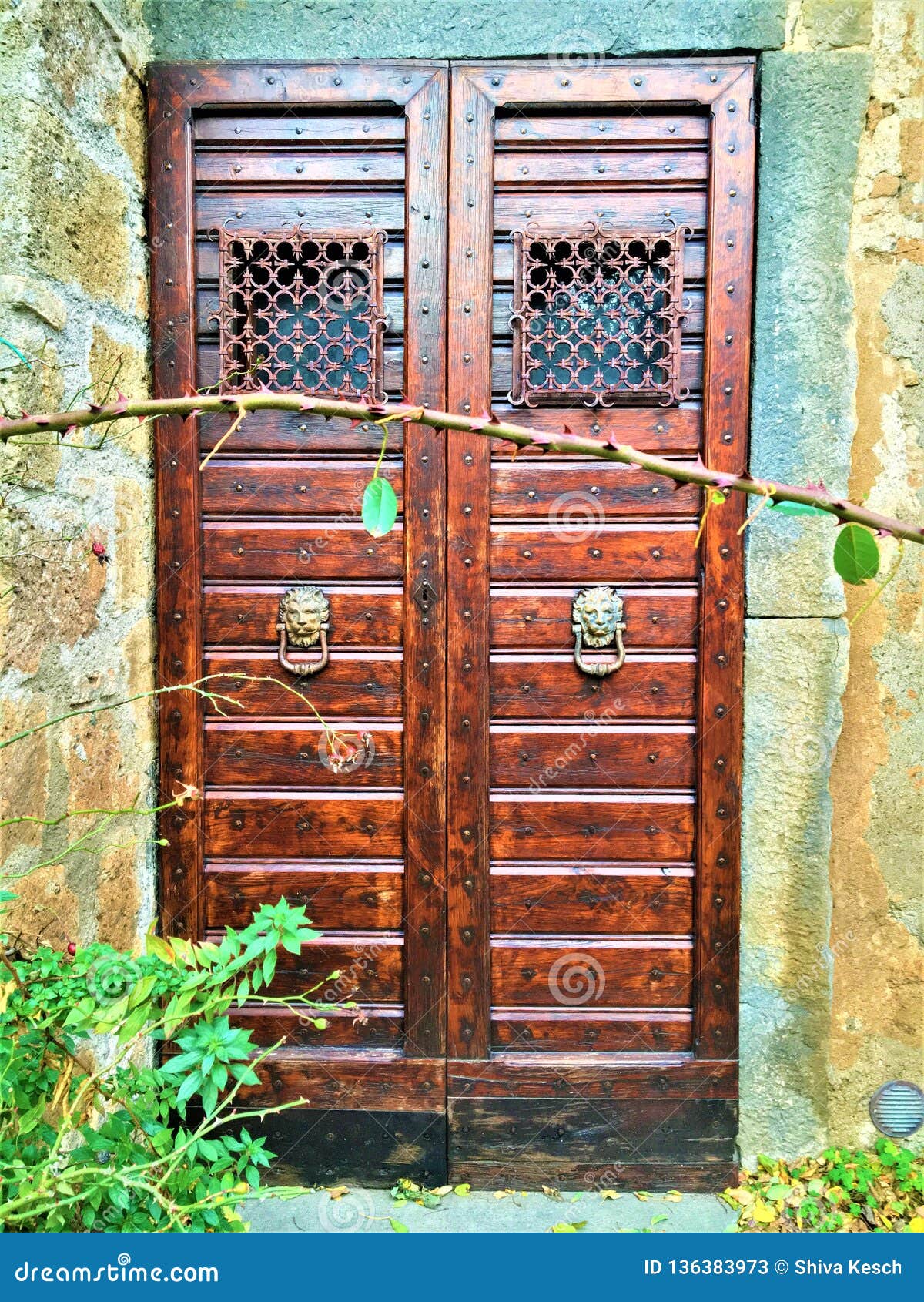 Monster door concept Stock Photo by ©luislouro 99649156