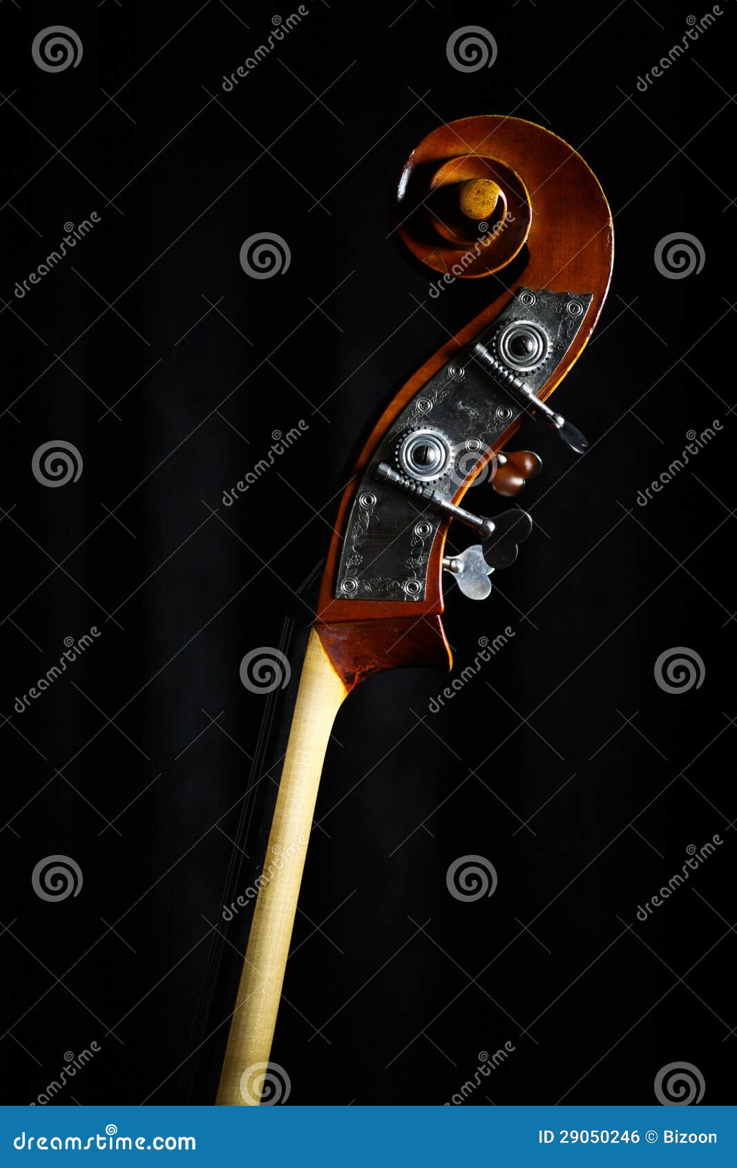Vintage double bass head stock photo. Image of object 29050246