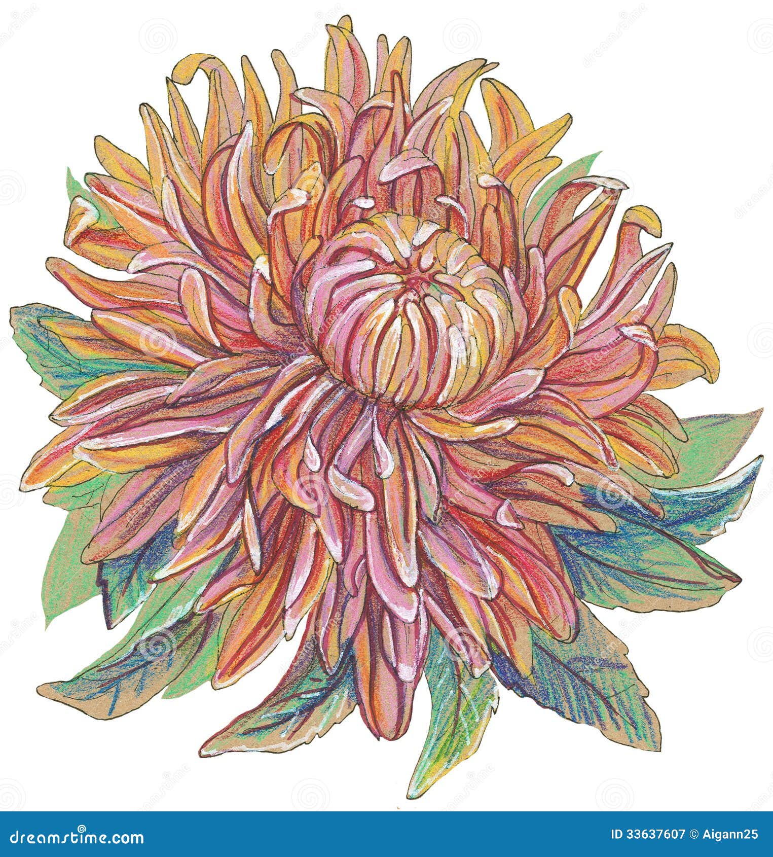 Vintage Drawing Of Flowers Royalty Free Stock Photography Image 33637607