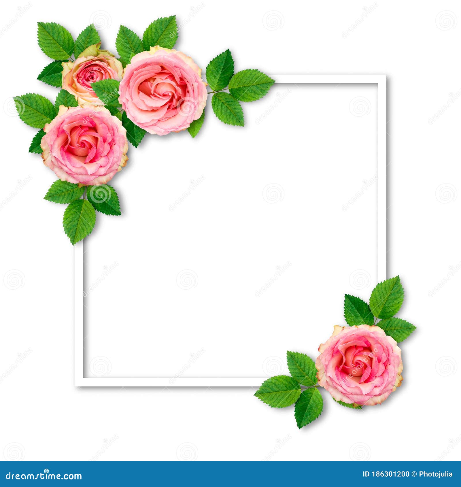 Vintage, Em Branco, De Rosas Cor-de-rosa Com Folhas. As Flores Estão Localizadas Nos Cantos Da Praça. Fundo Natural De Casamento P Foto de Stock - Imagem de fundo, brilhante: 186301200 Vintage, Em Branco, De Rosas Cor-de-rosa Com Folhas. As Flores Estão Localizadas Nos Cantos Da Praça. Fundo Natural De Casamento P Foto de Stock - Imagem de fundo, brilhante: 186301200
