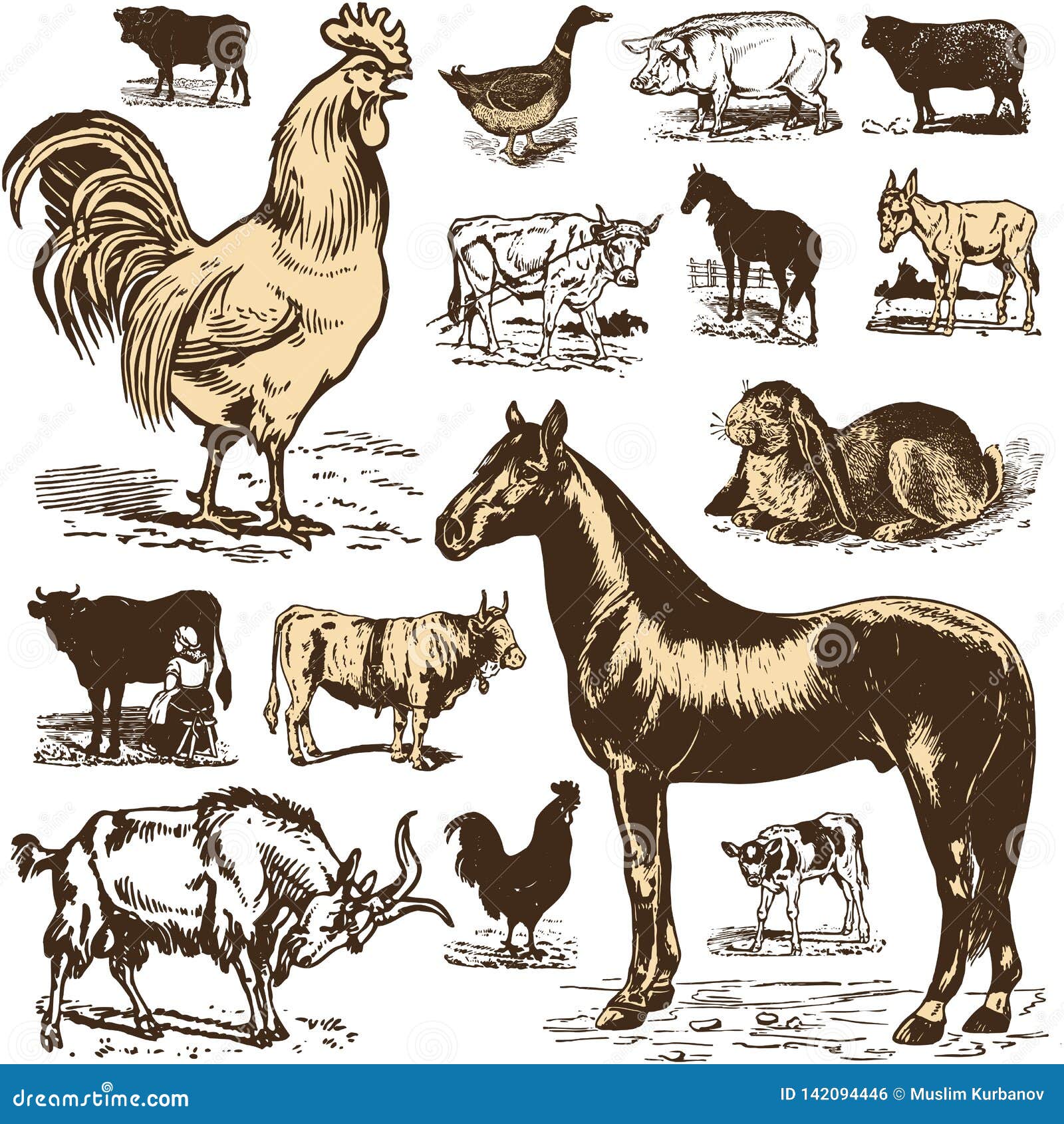 Vintage Farm Animal Set. Vector Stock Vector Illustration of isolated