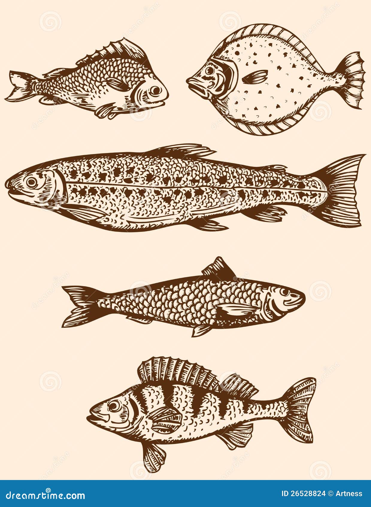 Vintage fish stock vector. Illustration of design, marine 26528824