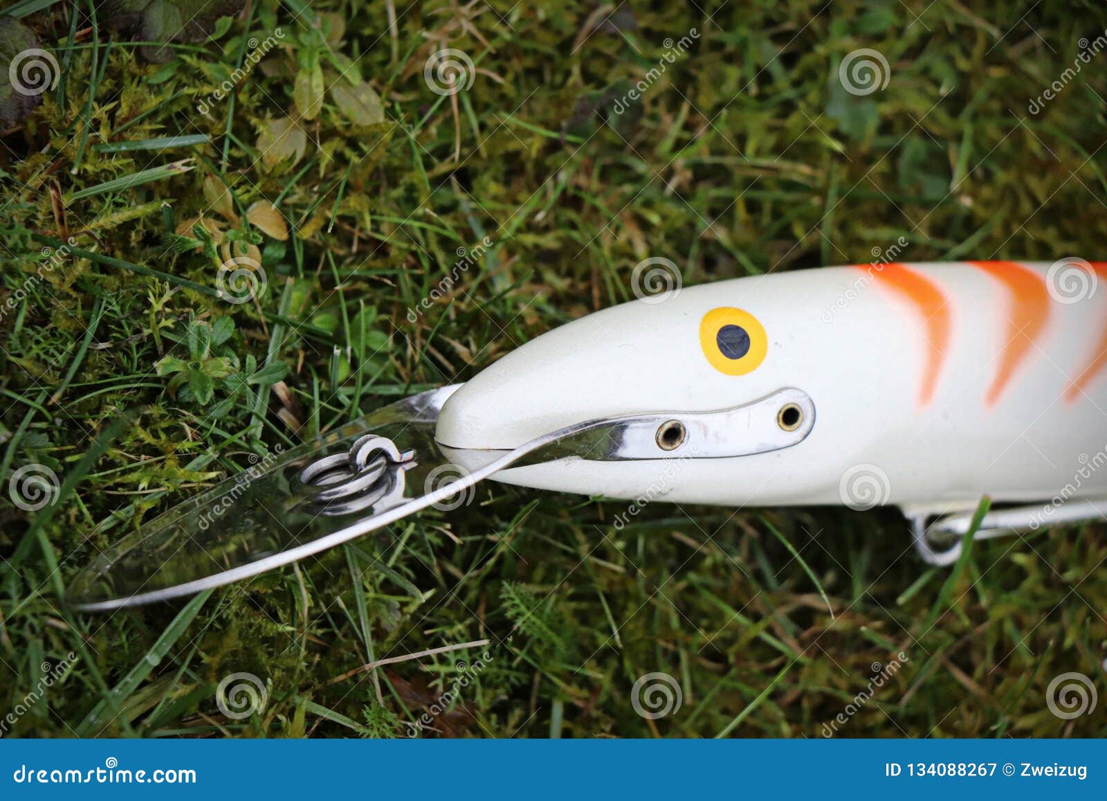 Vintage Fishing Lure Plug Rapala CD Magnum 22 Cm Stock Image - Image of  pike, long: 134088267