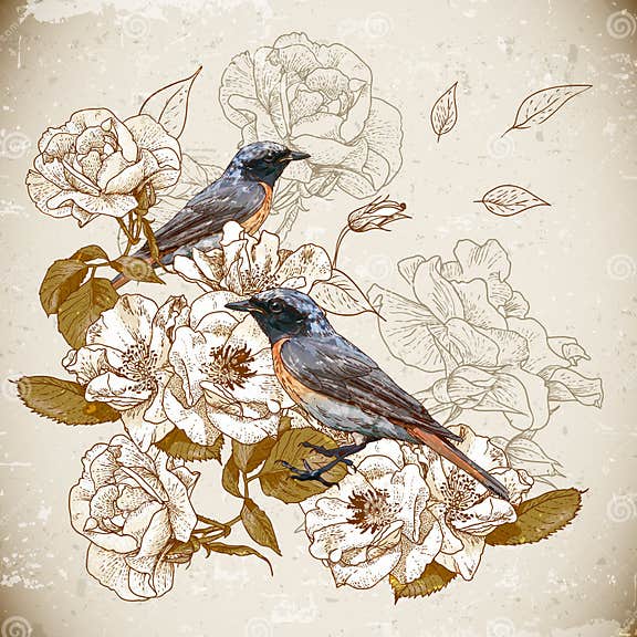 Vintage Floral Background with Birds Stock Vector - Illustration of ...