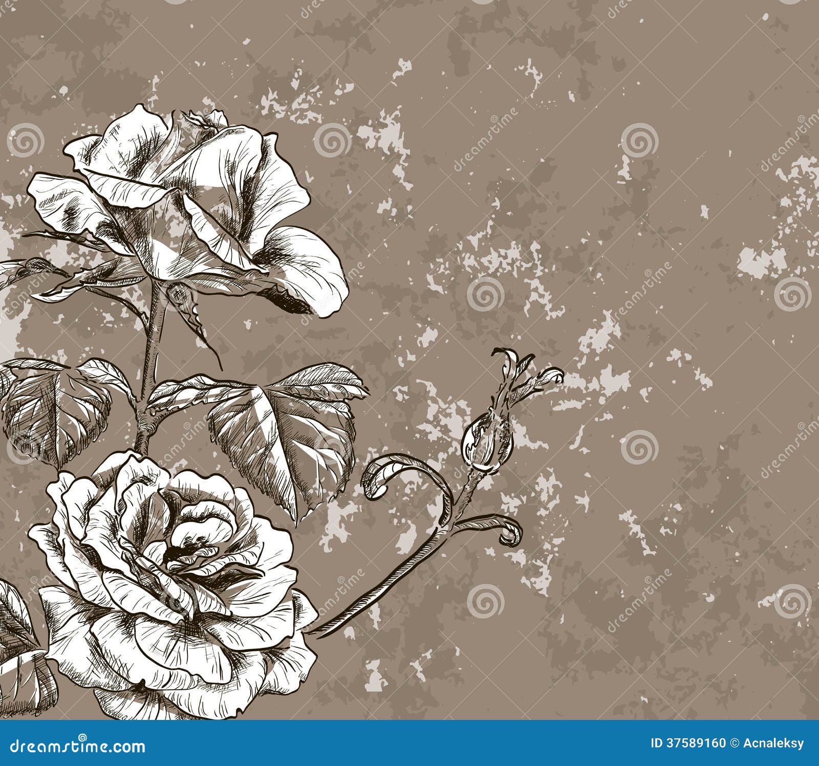 vintage floral backgrounds with roses