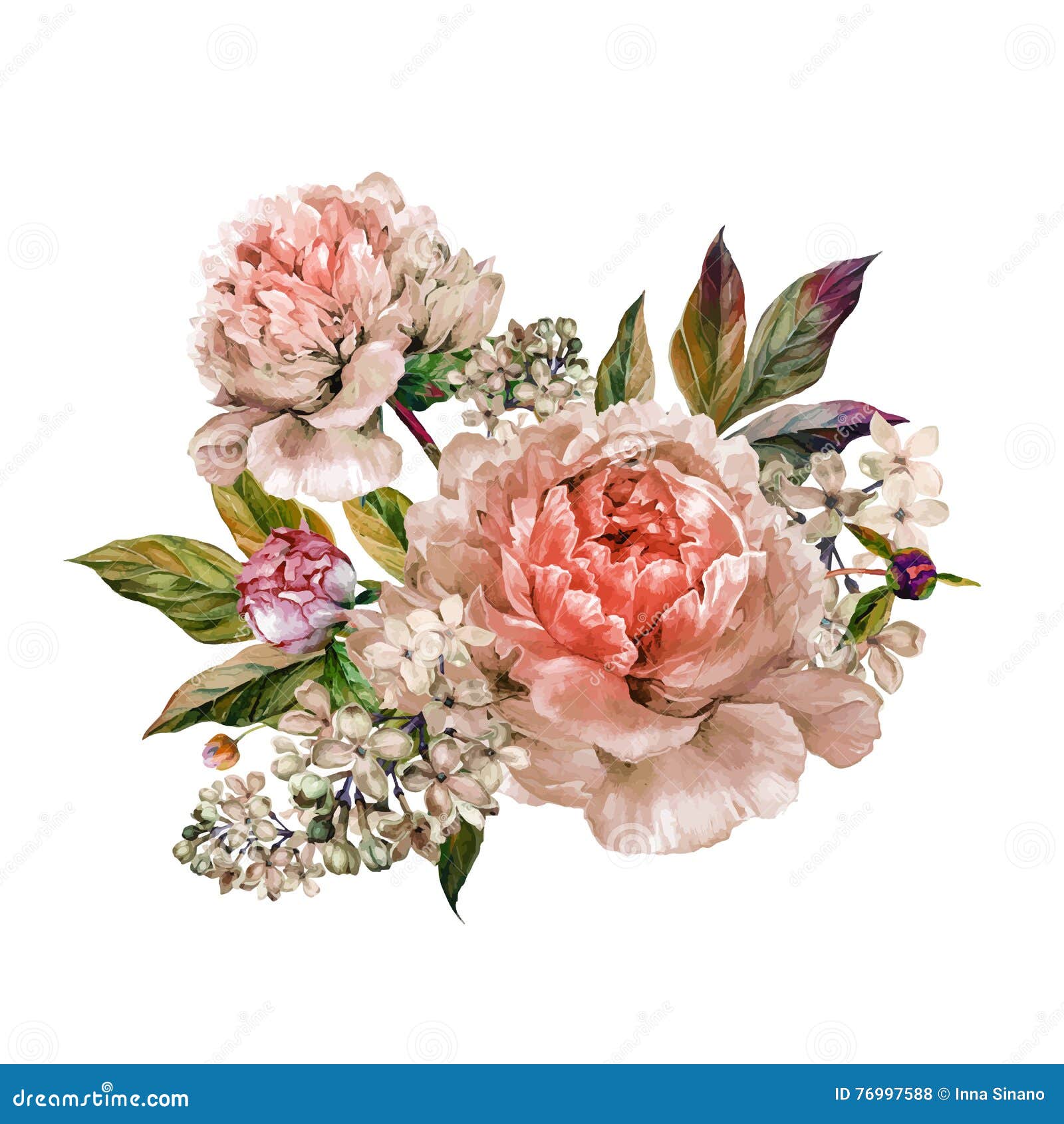 vintage peony clipart - photo #15