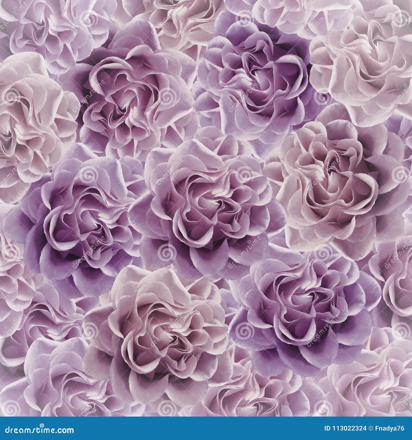 vintage purple flower background