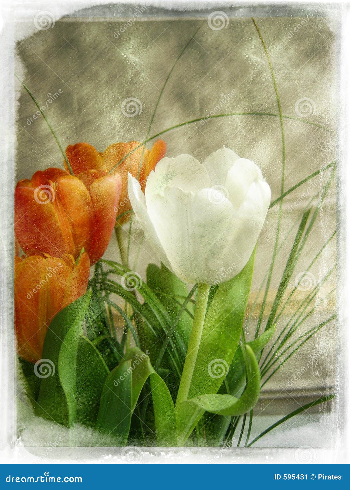 Vintage flower stock image. Image of nature, attractive - 595431