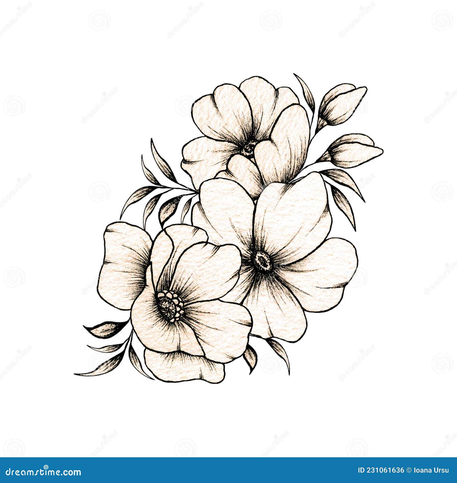 Aggregate 64+ flower black sketch best - seven.edu.vn