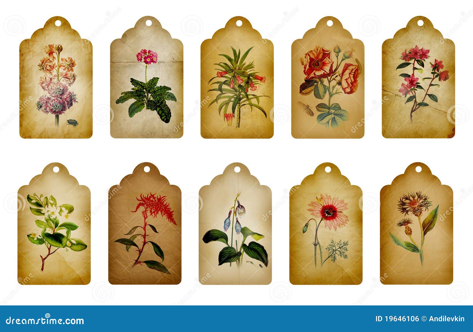 vintage flower labels stock illustration illustration of