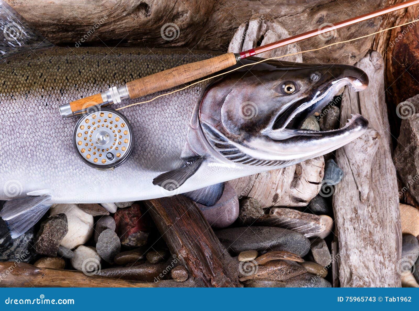 Vintage Fly Fishing Equipment on Large Trout in Riverbed Setting