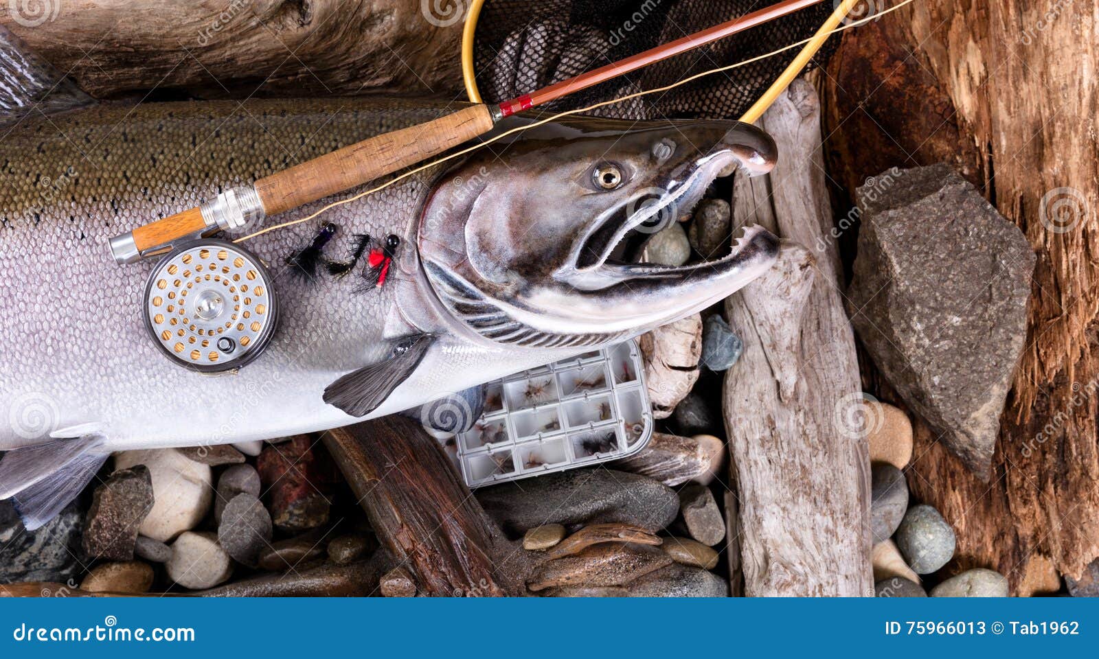 Vintage Fly Fishing Equipment on Top of Large Trout in Riverbed Stock Image  - Image of angler, reel: 75966013