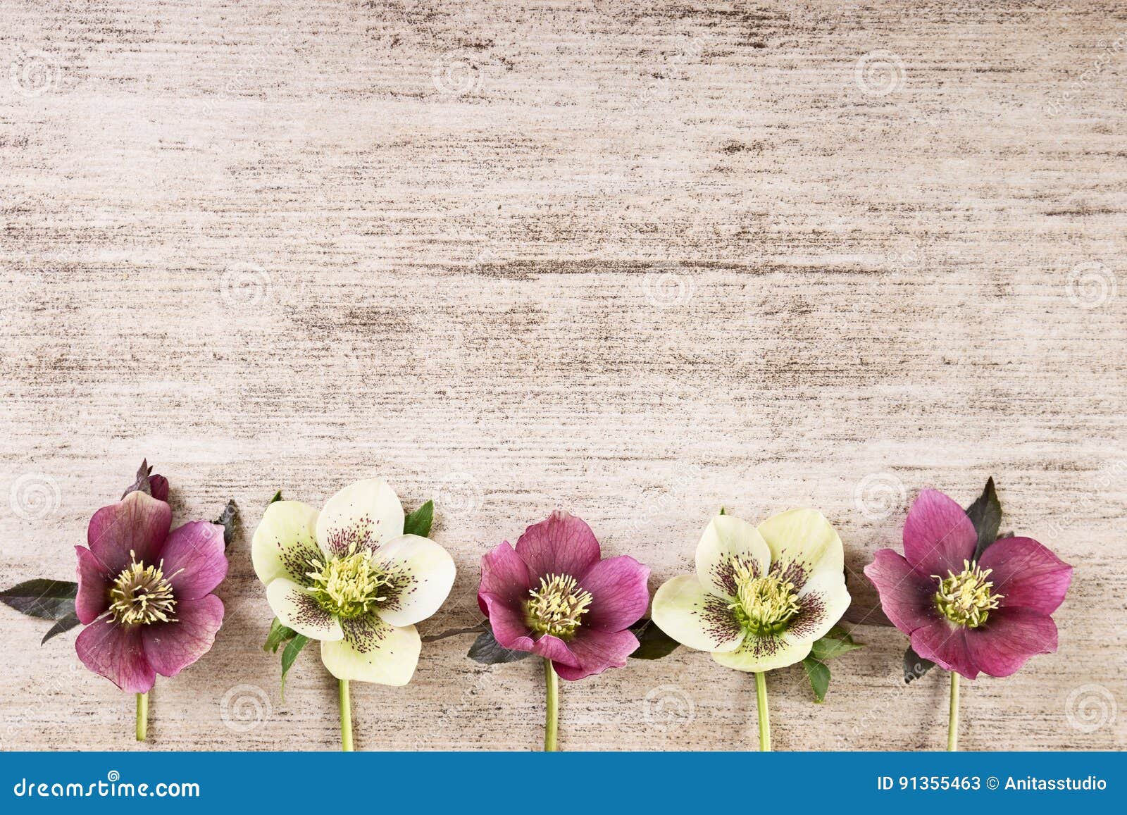 Vintage Frame Background with Spring Flowers in Pastel Color Stock Image -  Image of greeting, decoration: 91355463