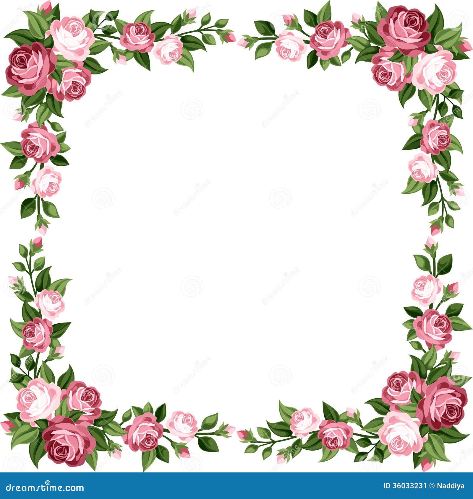 vintage frame pink roses rose buds green leaves white background 36033231