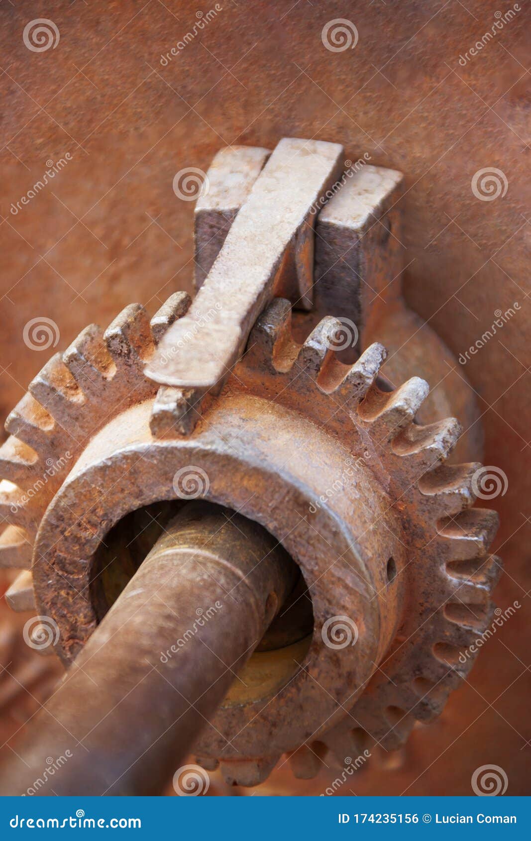 Vintage gear stock photo. Image of motor, gears, cogwheel - 174235156