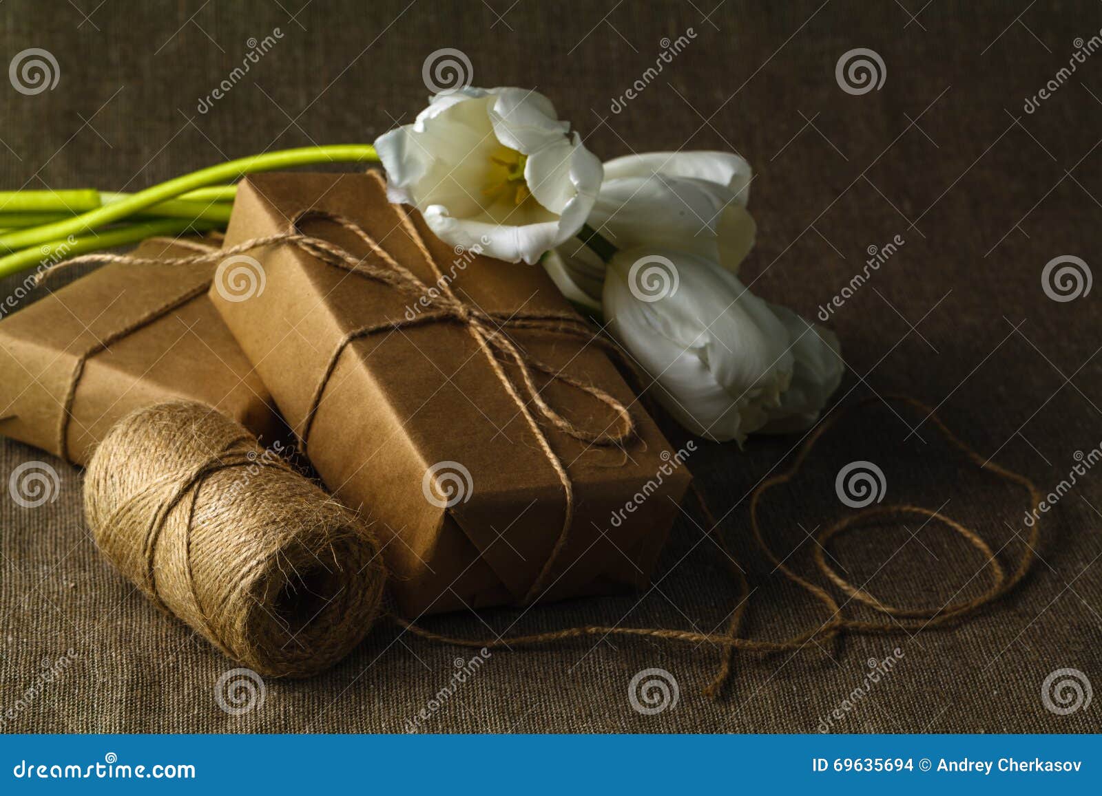 Vintage Gift Box Brown Paper Wrapped with Rope Stock Photo Image of