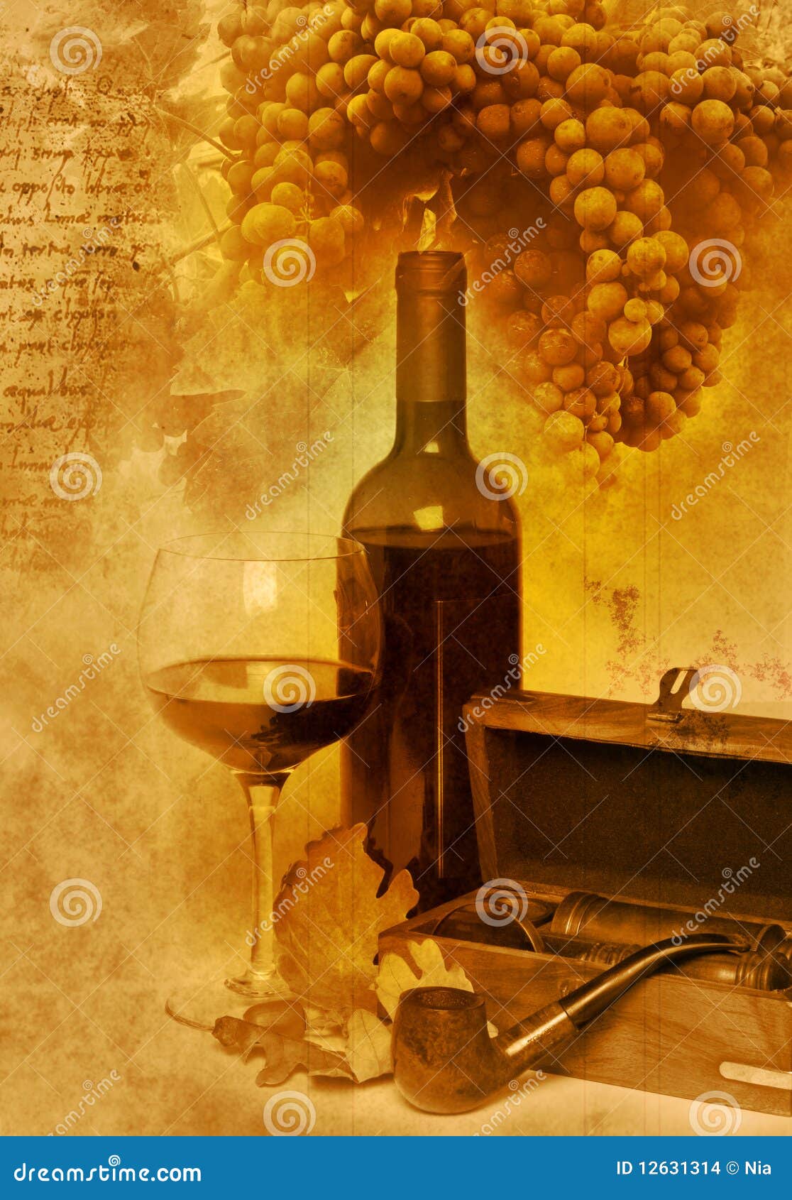 Vintage Glass and Bottle Wine Stock Photo Image of plant, menu 12631314