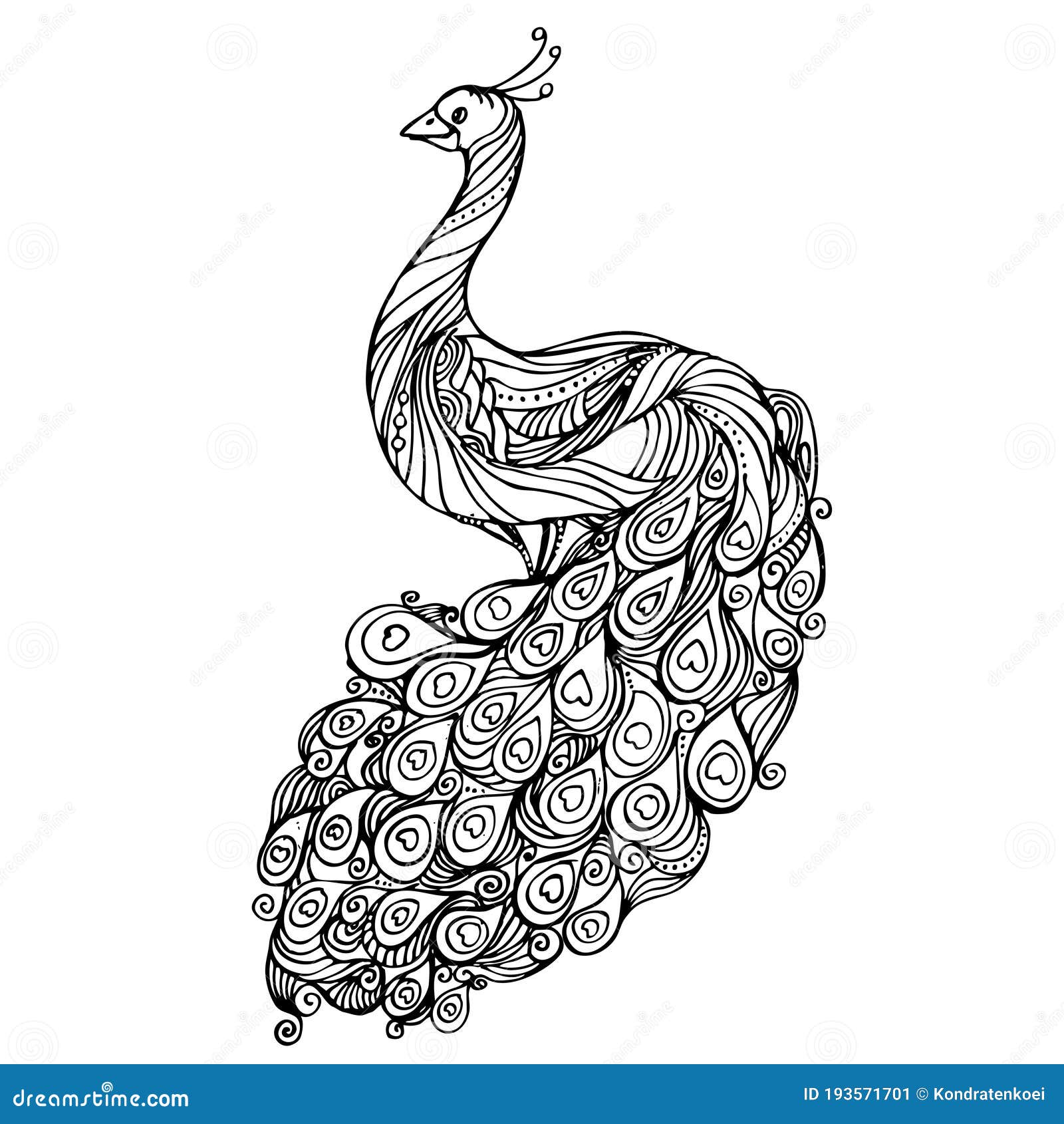 Peacock collection ethnic style sketch for  Stock Illustration  60221281  PIXTA
