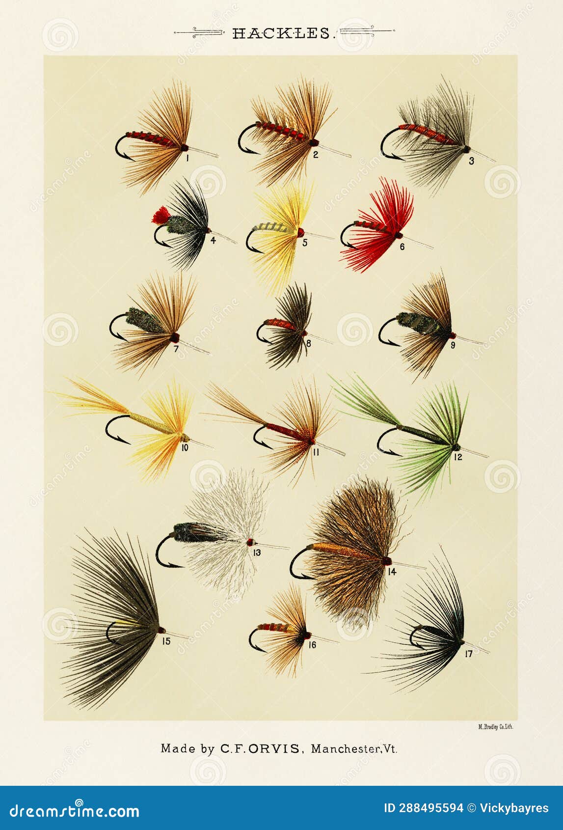 Vintage Illustration of Fly Fishing Hooks. Fly Fishing. Ca. 1890