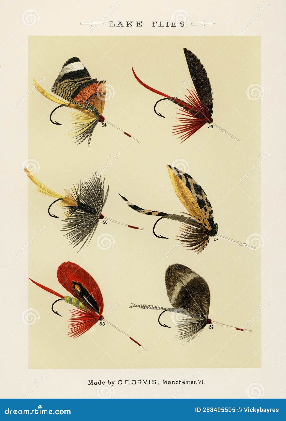 Vintage Illustration of Fly Fishing Hooks. Fly Fishing. Ca. 1890 Stock  Image - Image of strike, cast: 288495595